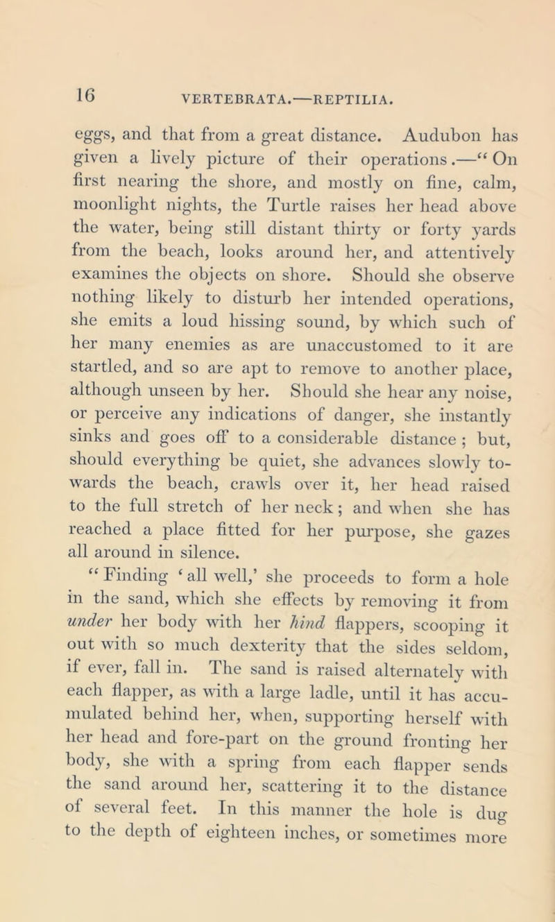 eggs, and that from a great distance. Audubon has given a lively picture of their operations.—“ On first nearing the shore, and mostly on fine, calm, moonlight nights, the Turtle raises her head above the water, being still distant thirty or forty yards from the beach, looks around her, and attentively examines the objects on shore. Should she observe nothing likely to disturb her intended operations, she emits a loud hissing sound, by which such of her many enemies as are unaccustomed to it are startled, and so are apt to remove to another place, although unseen by her. Should she hear any noise, or perceive any indications of danger, she instantly sinks and goes off to a considerable distance ; but, should everything be quiet, she advances slowly to- wards the beach, crawls over it, her head raised to the full stretch of her neck; and when she has reached a place fitted for her purpose, she gazes all around in silence. “ Finding ‘ all well,’ she proceeds to form a hole in the sand, which she effects by removing it from under her body with her hind flappers, scooping it out with so much dexterity that the sides seldom, if ever, fall in. The sand is raised alternately with each flapper, as with a large ladle, until it has accu- mulated behind her, when, supporting herself with her head and fore-part on the ground fronting her body, she with a spring from each flapper sends the sand around her, scattering it to the distance of several feet. In this manner the hole is dug to the depth of eighteen inches, or sometimes more