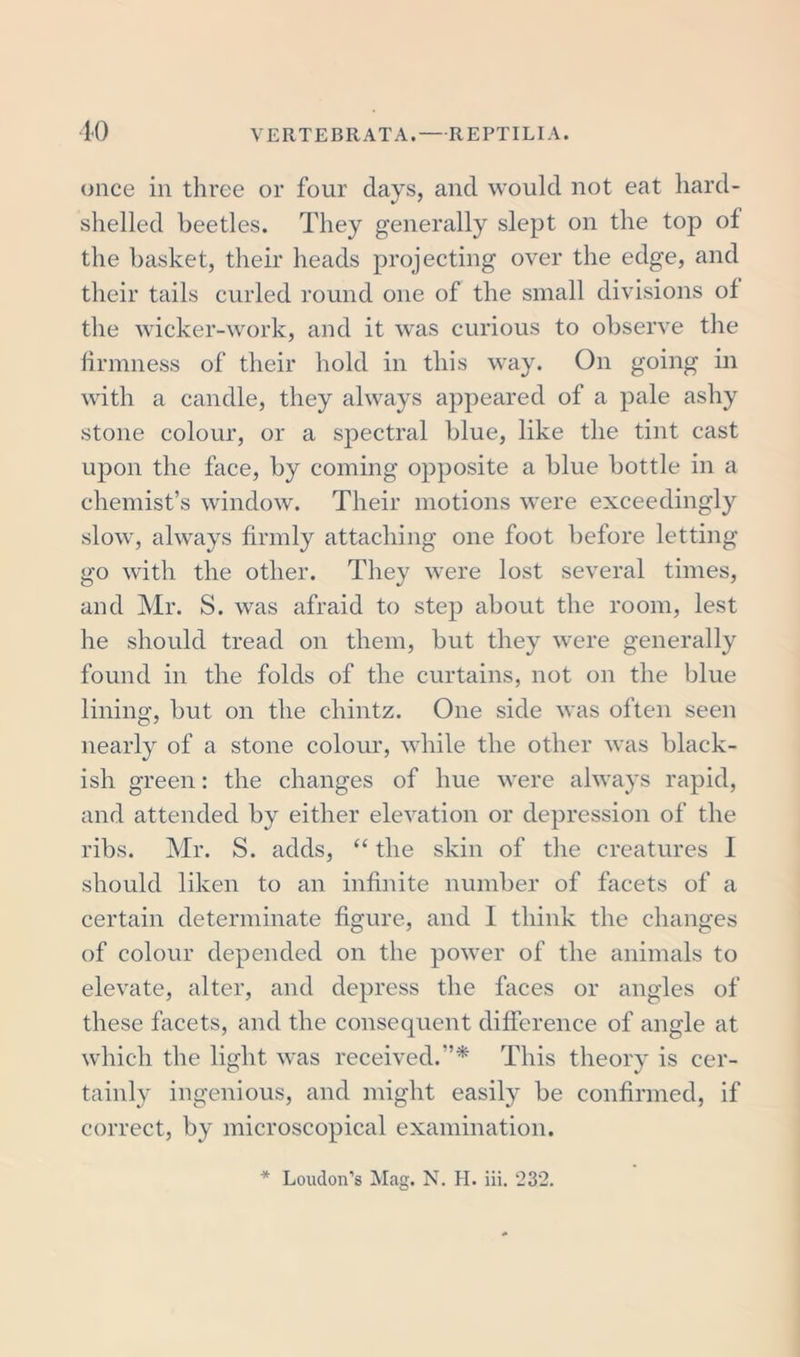 once in three or four clays, ancl would not eat hard- shelled beetles. They generally slept on the top ol the basket, their heads projecting over the edge, and their tails curled round one of the small divisions of the wicker-work, and it was curious to observe the firmness of their hold in this way. On going in with a candle, they always appeared of a pale ashy stone colour, or a spectral blue, like the tint cast upon the face, by coming opposite a blue bottle in a chemist’s window. Their motions were exceedingly slow, always firmly attaching one foot before letting go with the other. They were lost several times, and Mr. S. was afraid to step about the room, lest he should tread on them, but they were generally found in the folds of the curtains, not on the blue lining, but on the chintz. One side was often seen nearly of a stone colour, while the other was black- ish green: the changes of hue were always rapid, and attended by either elevation or depression of the ribs. Mr. S. adds, “ the skin of the creatures I should liken to an infinite number of facets of a certain determinate figure, and 1 think the changes of colour depended on the power of the animals to elevate, alter, and depress the faces or angles of these facets, and the consequent difference of angle at which the light was received.”* This theory is cer- tainly ingenious, and might easily be confirmed, if correct, by microscopical examination.