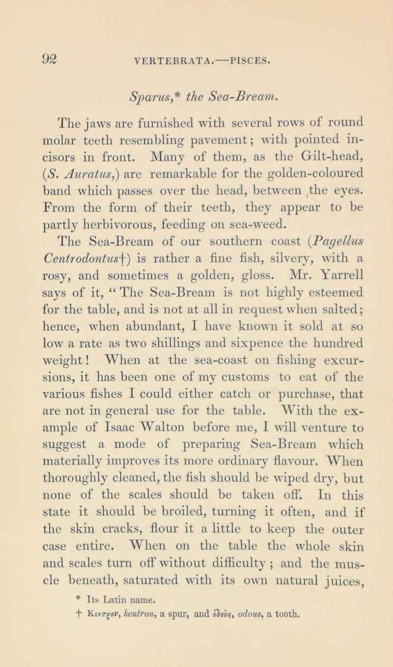 Spar us,* the Sea-Bream. The j aws are furnished with several rows of round molar teeth resembling pavement; with pointed in- cisors in front. Many of them, as the Gilt-head, (,S. Auratus,) are remarkable for the golden-coloured band which passes over the head, between the eyes. From the form of their teeth, they appear to be partly herbivorous, feeding on sea-weed. The Sea-Bream of our southern coast (.Pagellus Centrodontus-f) is rather a fine fish, silvery, with a rosy, and sometimes a golden, gloss. Mr. Yarrell says of it, “ The Sea-Bream is not highly esteemed for the table, and is not at all in request when salted; hence, when abundant, I have known it sold at so low a rate as two shillings and sixpence the hundred weight! When at the sea-coast on fishing excur- sions, it has been one of my customs to eat of the various fishes I could either catch or purchase, that are not in general use for the table. With the ex- ample of Isaac Walton before me, I will venture to suggest a mode of preparing Sea-Bream which materially improves its more ordinary flavour. When thoroughly cleaned, the fish should be wiped dry, but none of the scales should be taken off. In this state it should be broiled, turning it often, and if the skin cracks, flour it a little to keep the outer case entire. When on the table the whole skin and scales turn off* without difficulty ; and the mus- cle beneath, saturated with its own natural juices, * Its Latin name. + Kivrgov, kentron, a spur, and obous, odous, a tooth.