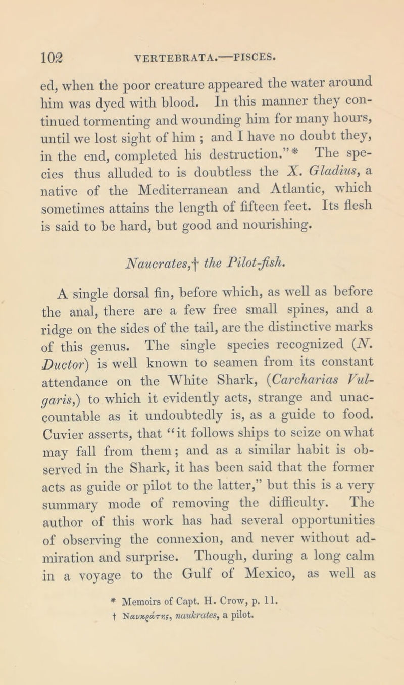eel, when the poor creature appeared the water around him was dyed with blood. In this manner they con- tinued tormenting and wounding him for many hours, until we lost sight of him ; and I have no doubt they, in the end, completed his destruction. * The spe- cies thus alluded to is doubtless the X. Gladius, a native of the Mediterranean and Atlantic, which sometimes attains the length of fifteen feet. Its flesh is said to be hard, but good and nourishing. Naucrates,']■ the Pilot-fish. A single dorsal fin, before which, as well as before the anal, there are a few free small spines, and a rido-e on the sides of the tail, are the distinctive marks O of this genus. The single species recognized (iV. .Ductor) is well known to seamen from its constant attendance on the White Shark, (Carcharias Vul- garis,) to which it evidently acts, strange and unac- countable as it undoubtedly is, as a guide to food. Cuvier asserts, that “it follows ships to seize on what may fall from them; and as a similar habit is ob- served in the Shark, it has been said that the former acts as guide or pilot to the latter,” but this is a very summary mode of removing the difficulty. lhe author of this work has had several opportunities of observing the connexion, and never without ad- miration and surprise. Though, during a long calm in a voyage to the Gulf of Mexico, as well as * Memoirs of Capt. H. Crow, p. 11. t TSa.vx(&gt;drrr&lt;;, nuukrates, a pilot.