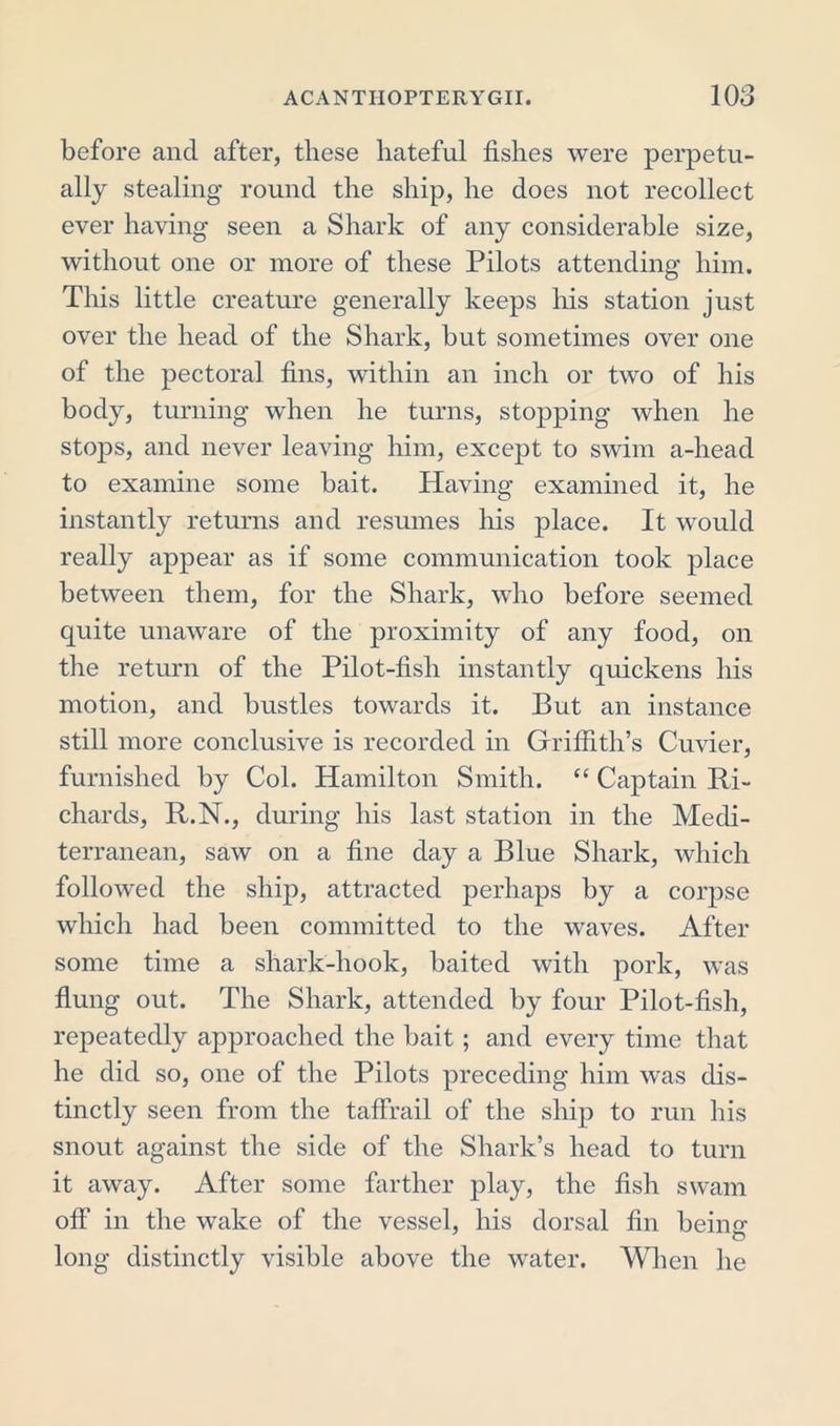 before and after, these hateful fishes were perpetu- ally stealing round the ship, he does not recollect ever having seen a Shark of any considerable size, without one or more of these Pilots attending him. This little creature generally keeps his station just over the head of the Shark, but sometimes over one of the pectoral fins, within an inch or two of his body, turning when he turns, stopping when he stops, and never leaving him, except to swim a-head to examine some bait. Having examined it, he instantly returns and resumes his place. It would really appear as if some communication took place between them, for the Shark, who before seemed quite unaware of the proximity of any food, on the return of the Pilot-fish instantly quickens his motion, and bustles towards it. But an instance still more conclusive is recorded in Gfriffith’s Cuvier, furnished by Col. Hamilton Smith. “ Captain Ri- chards, R.N., during his last station in the Medi- terranean, saw on a fine day a Blue Shark, which followed the ship, attracted perhaps by a corpse which had been committed to the waves. After some time a shark-hook, baited with pork, was flung out. The Shark, attended by four Pilot-fish, repeatedly approached the bait; and every time that he did so, one of the Pilots preceding him was dis- tinctly seen from the taffrail of the ship to run his snout against the side of the Shark’s head to turn it away. After some farther play, the fish swam off in the wake of the vessel, his dorsal fin beiim o long distinctly visible above the water. When he