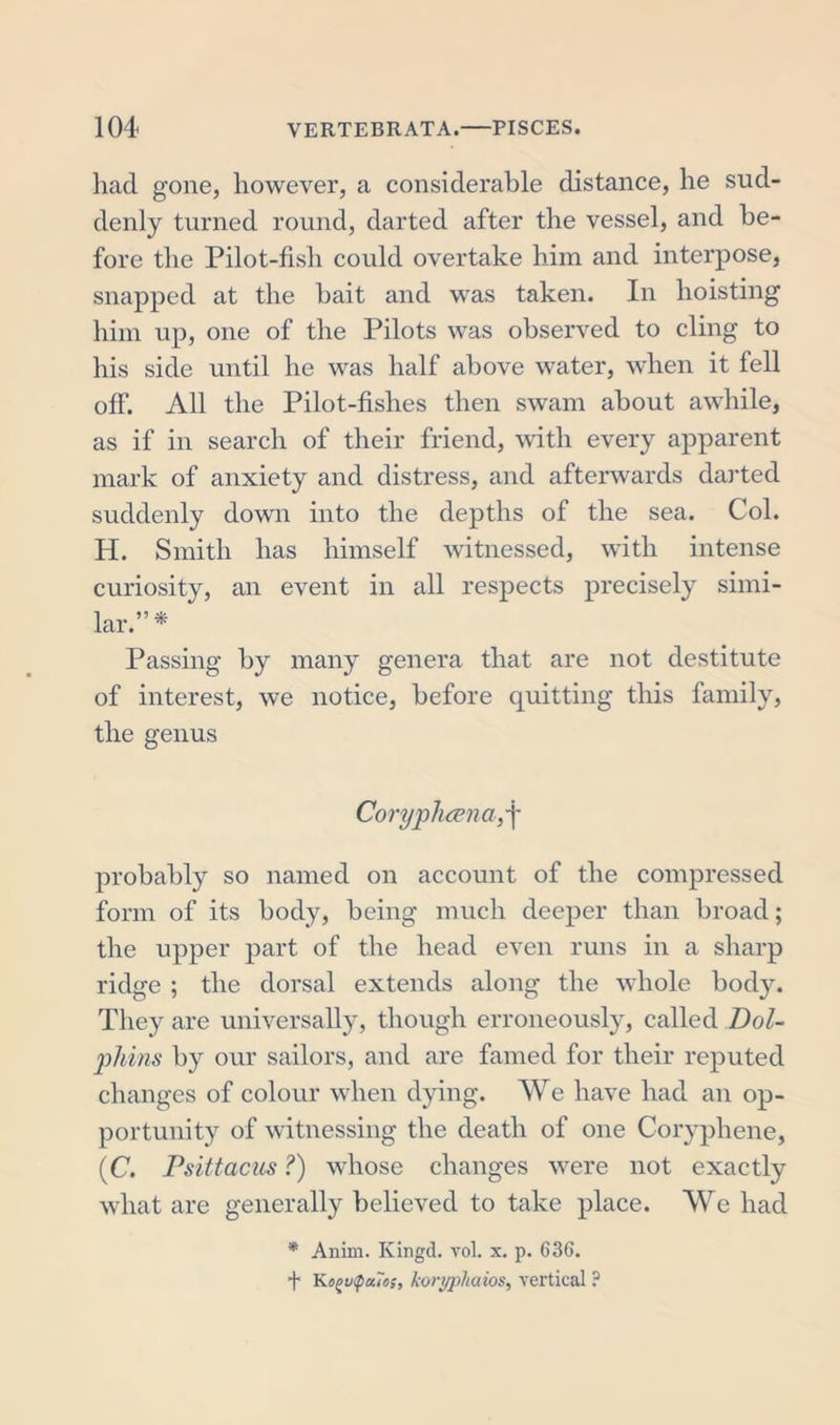 had gone, however, a considerable distance, he sud- denly turned round, darted after the vessel, and be- fore the Pilot-fish could overtake him and interpose, snapped at the bait and was taken. In hoisting him up, one of the Pilots was observed to cling to his side until he was half above water, when it fell off. All the Pilot-fishes then swam about awhile, as if in search of their friend, with every apparent mark of anxiety and distress, and afterwards darted suddenly down into the depths of the sea. Col. H. Smith has himself witnessed, with intense curiosity, an event in all respects precisely simi- lar.”* Passing by many genera that are not destitute of interest, we notice, before quitting this family, the genus Coryphcena, f probably so named on account of the compressed form of its body, being much deeper than broad; the upper part of the head even runs in a sharp ridge ; the dorsal extends along the whole body. They are universally, though erroneously, called Dol- phins by our sailors, and are famed for their reputed changes of colour when dying. We have had an op- portunity of witnessing the death of one Coryphene, (C. Psittacus ?) whose changes were not exactly what are generally believed to take place. We had * Anim. Kingd. vol. x. p. 636. + Ko^v&lt;pa7os, koryphaios, vertical ?