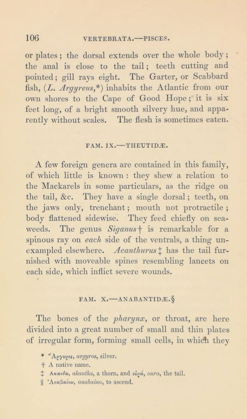 or plates ; the dorsal extends over the whole body; the anal is close to the tail; teeth cutting and pointed; gill rays eight. The Garter, or Scabbard fish, (.L. Argyreus,*) inhabits the Atlantic from our own shores to the Cape of Good Hope; it is six feet long, of a bright smooth silvery hue, and appa- rently without scales. The flesh is sometimes eaten. FAM. IX.—THEUTIDAE. A few foreign genera are contained in this family, of which little is known : they shew a relation to the Mackarels in some particulars, as the ridge on the tail, &amp;c. They have a single dorsal; teeth, on the jaws only, trenchant; mouth not protractile ; body flattened sidewise. They feed chiefly on sea- weeds. The genus Siganus j- is remarkable for a spinous ray on each side of the ventrals, a thing un- exampled elsewhere. Acanihurus% has the tail fur- nished with moveable spines resembling lancets on each side, which inflict severe wounds. FAM. X. ANABANTID^E.§ The bones of the pharynx, or throat, are here divided into a great number of small and thin plates of irregular form, forming small cells, in which they * yAzyu^os, argyros, silver. + A native name. X Akkv0», akanilia, a thorn, and ovod, oura, the tail. § ’Ava.lba.ivu, anabaino, to ascend.