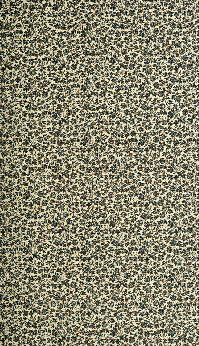 digitised image 3
