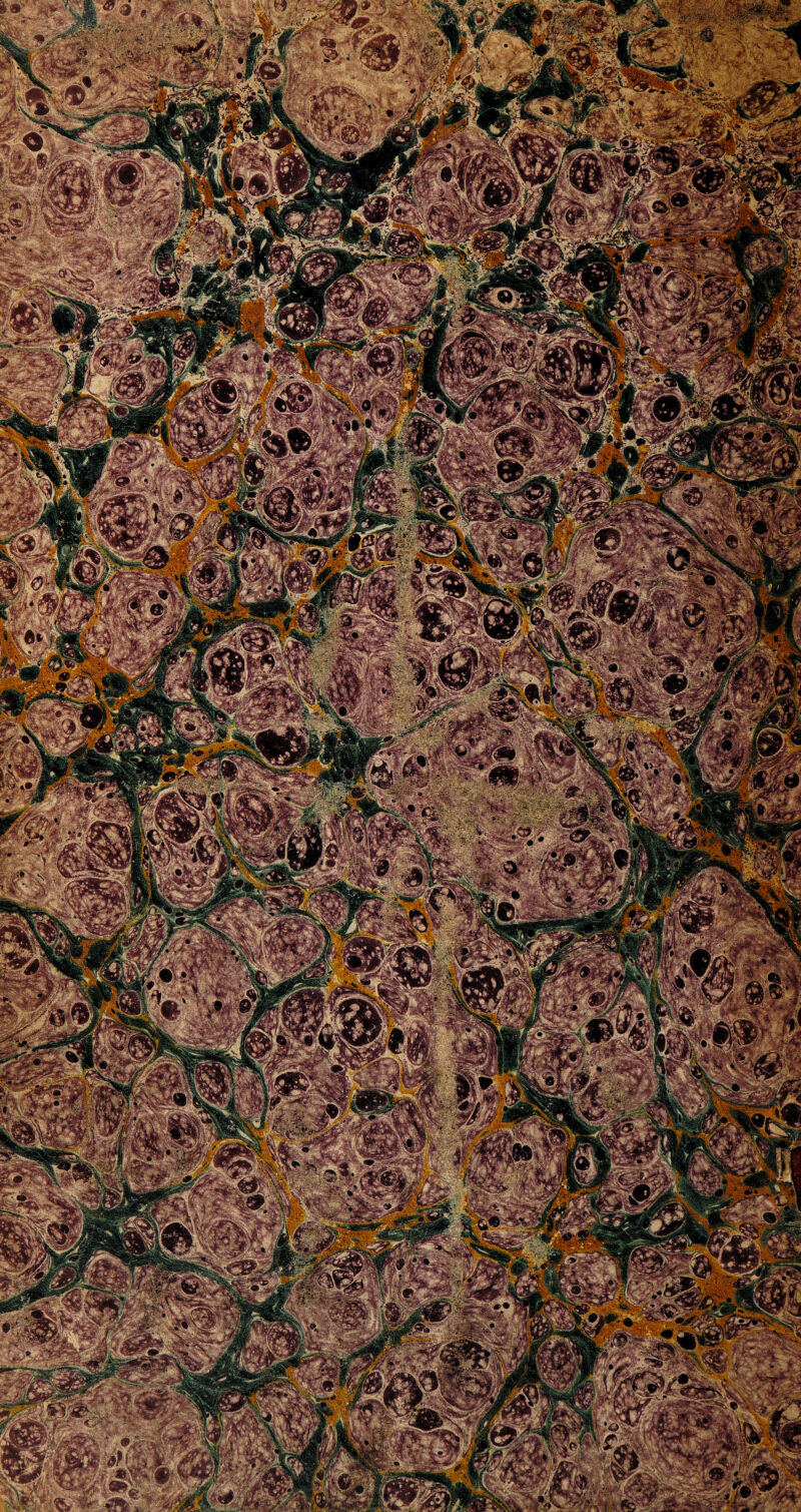 PIPI '^T ^ V :KfABfe&ìfc ■ j Sa 'frjiFylsBBr .Ì~- , • '-' r&S «JVOPSk _ s™ §2£