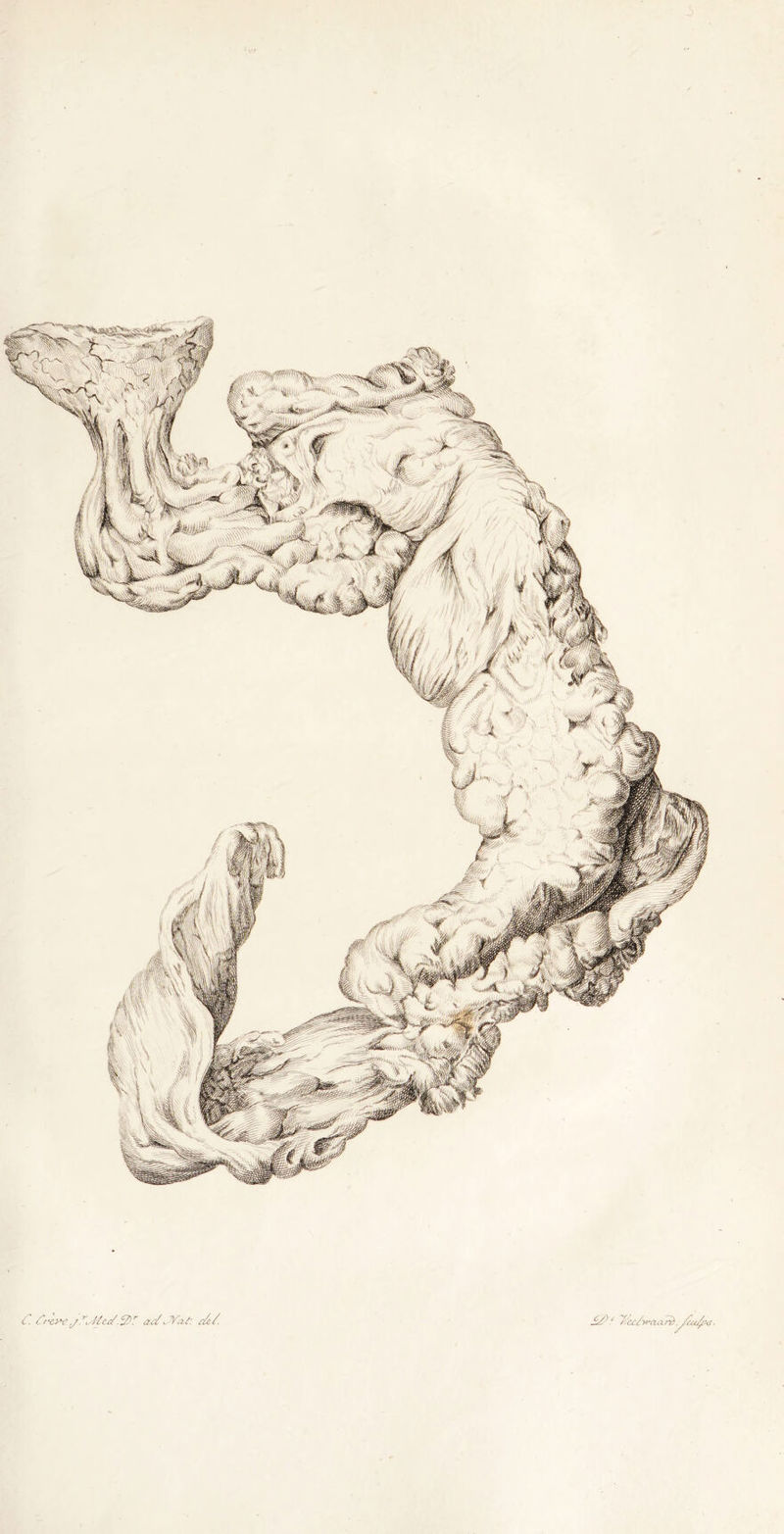 C. frc>v;/.\J/ea/.2,r adJVaé: de/.