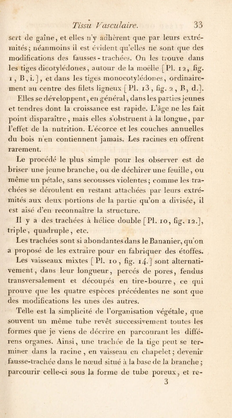 sert de gaine, et elles n’y adhèrent que par leurs extré¬ mités; néanmoins il est évident qu’elles ne sont que des modifications des fausses - trachées. On les trouve dans les tiges dicotylédones, autour de la moélle [PI. 12, fig. I , B,i.], et dans les tiges monocotylédones, ordinaire¬ ment au centre des filets ligneux [ PI. i3 , fig. 2, B, d.]. Elles se développent, en général, dans les parties jeunes et tendres dont la croissance est rapide. L’âge ne les fait point disparaître, mais elles s’obstruent à la longue, par l’effet de la nutrition. L’écorce et les couches annuelles du bois n’en contiennent jamais. Les racines en offrent rarement. Le procédé le plus simple pour les observer est de briser une jeune branche, ou de déchirer une feuille, ou meme un pétale, sans secousses violentes; comme les tra¬ chées se déroulent en restant attachées par leurs extré¬ mités aux deux portions de la partie qu’on a divisée, il est aisé d’en reconnaître la structure. Il y a des trachées à hélice double [PL 10, fig. 12.], triple, quadruple, etc. Les trachées sont si abondantes dans le Bananier, qu’on a proposé de les extraire pour en fabriquer des étoffes* Les vaisseaux mixtes [PL 10, fig. 14.] sont alternati¬ vement, dans leur longueur, percés de pores, fendus transversalement et découpés en tire-bourre, ce qui prouve que les quatre espèces précédentes ne sont que des modifications les unes des autres. Telle est la simplicité de l’organisation végétale, que souvent un même tube revêt successivement toutes les formes que je viens de décrire en parcourant les diffé¬ rons organes. Ainsi, une trachée de la tige peut se ter¬ miner dans la racine , en vaisseau en chapelet ; devenir fausse-trachée dans le nœud situé à la base de la branche ; parcourir celle-ci sous la forme de tube poreux, et re- 3