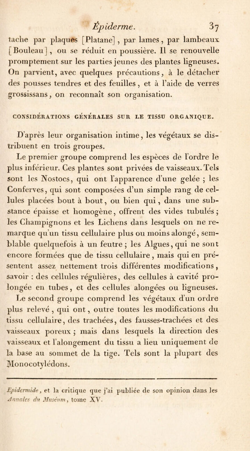 Épiderme. 3j tache par plaques [Platane] , par lames, par lambeaux [Bouleau] , ou se réduit en poussière. Il se renouvelle promptement sur les parties jeunes des plantes ligneuses. On parvient, avec quelques précautions, à le détacher des pousses tendres et des feuilles, et à l’aide de verres grossissans, on reconnaît son organisation. CONSIDERATIONS GENERALES SUR LE TISSU ORGANIQUE. D’après leur organisation intime, les végétaux se dis¬ tribuent en trois groupes. Le premier groupe comprend les espèces de l’ordre le plus inférieur. Ces plantes sont privées de vaisseaux. Tels sont les Nostocs, qui ont l’apparence d’une gelée ; les Conferves, qui sont composées d’un simple rang de cel¬ lules placées bout à bout, ou bien qui, dans une sub¬ stance épaisse et homogène, offrent des vides tubulés ÿ les Champignons et les Lichens dans lesquels on ne re¬ marque qu’un tissu cellulaire plus ou moins alongé, sem¬ blable quelquefois à un feutre; les Algues, qui ne sont encore formées que de tissu cellulaire, mais qui en pré¬ sentent assez nettement trois différentes modifications, savoir : des cellules régulières, des cellules à cavité pro¬ longée en tubes, et des cellules alongées ou ligneuses. Le second groupe comprend les végétaux d’un ordre plus relevé , qui ont, outre toutes les modifications du tissu cellulaire, des trachées, des fausses-trachées et des vaisseaux poreux ; mais dans lesquels la direction des vaisseaux et l’aîongement du tissu a lieu uniquement de la base au sommet de la tige. Tels sont la plupart des Monocotylédons. Epidçrmide, et la critique que j’ai publiée de son opinion dans les Anncdes du Muséinn, tome XV.