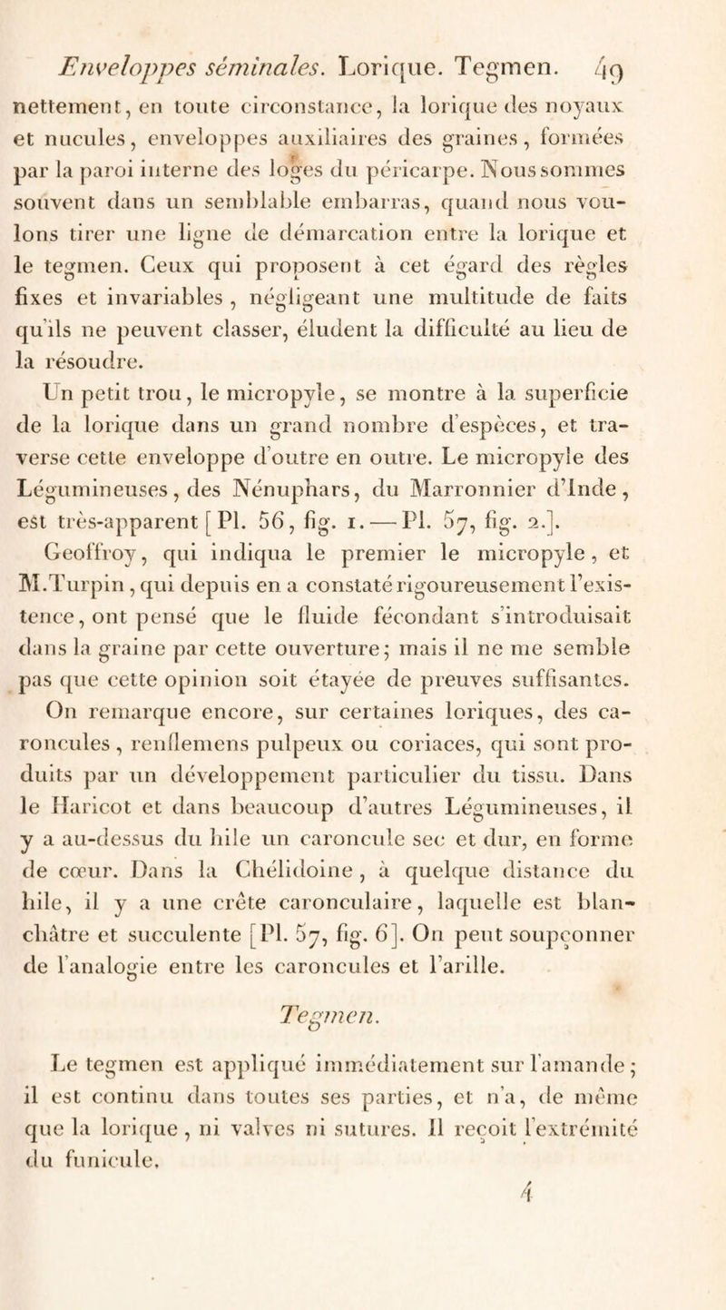 Em^eloppes séminales. Lorique. Tegmen. /|q nettement, en toute circonstance, la lorique des noyaux et nuculcs, enveloppes auxiliaires des graines, formées par la paroi interne des loges du péricarpe. Nous sommes souvent dans un semblable embarras, quand nous vou¬ lons tirer une ligne de démarcation entre la lorique et le tegmen. Ceux qui proposent à cet égard des règles fixes et invariables , néofio-eant une multitude de faits qu’ils ne peuvent classer, éludent la difficulté au lieu de la résoudre. Un petit trou, le micropyle, se montre à la superficie de la lorique dans un grand nombre d’espèces, et tra¬ verse cette enveloppe d’outre en outre. Le micropyle des Légumineuses, des Nénuphars, du Marronnier d’Inde, est très-apparent [ PL 56, fig. i. — PI. 5y, fig. 2.]. Geoffroy, qui indiqua le premier le micropyle, et M.T urpin, qui depuis en a constaté rigoureusement l’exis¬ tence, ont pensé que le fluide fécondant s’introduisait dans la graine par cette ouverture; mais il ne me semble pas que cette opinion soit étayée de preuves suffisantes. On remarque encore, sur certaines loriques, des ca¬ roncules , renfiemens pulpeux ou coriaces, qui sont pro¬ duits par un développement particulier du tissu. Dans le Haricot et dans beaucoup d’autres Légumineuses, il y a au-dessus du bile un caroncule sec et dur, en forme de cœur. Dans la Chélidoine , à quelque distance du bile, il y a une crête caronculaire, laquelle est blan¬ châtre et succulente [PL 5y, fig. 6]. On peut soupçonner de l’analogie entre les caroncules et l’arille. Tegmcjî. Le tegmen est appliqué immédiatement sur l’amande ; il est continu dans toutes ses parties, et n’a, de même que la lorique , ni valves ni sutures. 11 reçoit l’extrémité du funicule.