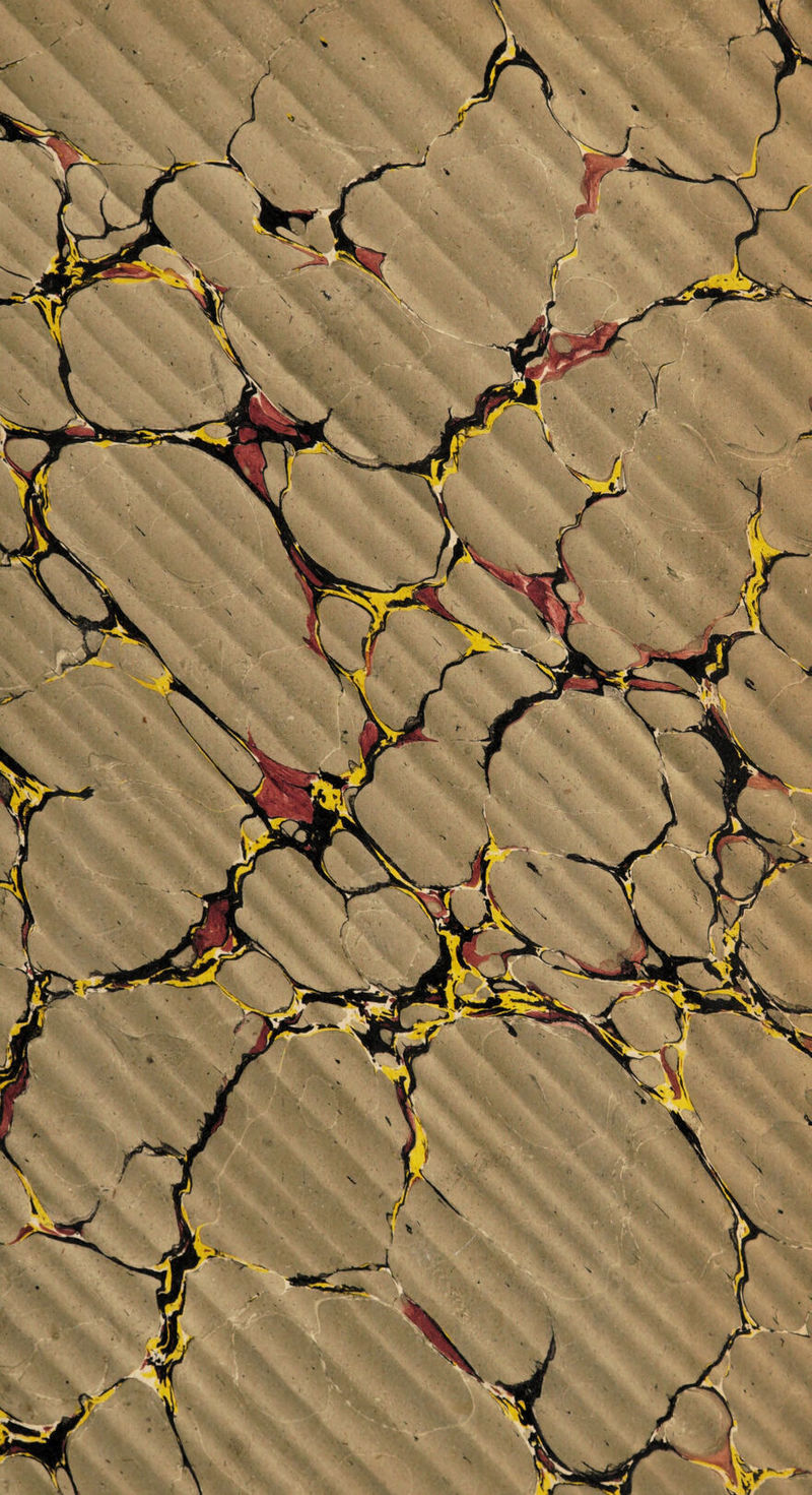 No text description is available for this image