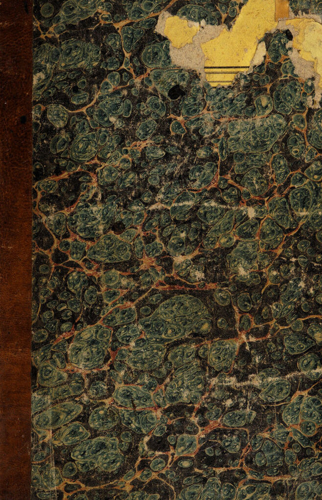digitised image 1