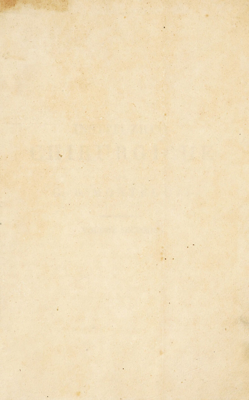 • ' V*.. • * t* • (* . è \ ■i*' ./