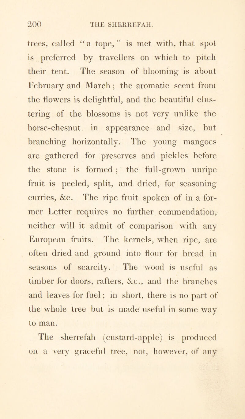 trees, called “ a tope, ” is met with, that spot is preferred by travellers on which to pitch their tent. The season of blooming is about February and March; the aromatic scent from the flowers is delightful, and the beautiful clus¬ tering of the blossoms is not very unlike the horse-chesnut in appearance and size, but branching horizontally. The young mangoes are gathered for preserves and pickles before the stone is formed ; the full-grown unripe fruit is peeled, split, and dried, for seasoning curries, &c. The ripe fruit spoken of in a for¬ mer Letter requires no further commendation, neither will it admit of comparison with any European fruits. The kernels, when ripe, are often dried and ground into flour for bread in seasons of scarcity. The wood is useful as timber for doors, rafters, &c., and the branches and leaves for fuel; in short, there is no part of the whole tree but is made useful in some way to man. The sherrefah (custard-apple) is produced on a very graceful tree, not, however, of any