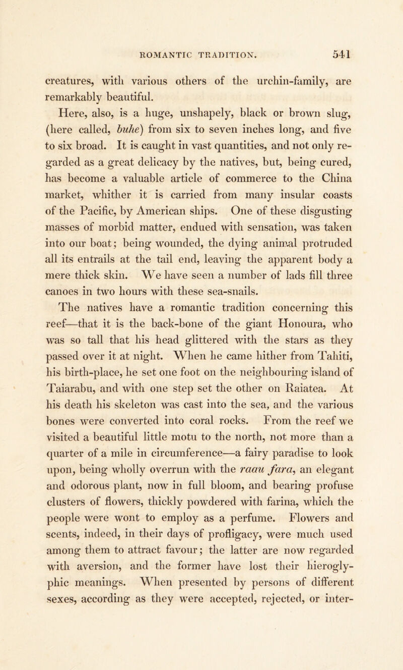 creatures, with various others of the urchin-family, are remarkably beautiful. Here, also, is a huge, unshapely, black or brown slug, (here called, buhe) from six to seven inches long, and five to six broad. It is caught in vast quantities, and not only re¬ garded as a great delicacy by the natives, but, being cured, has become a valuable article of commerce to the China market, whither it is carried from many insular coasts of the Pacific, by American ships. One of these disgusting masses of morbid matter, endued with sensation, was taken into our boat; being wounded, the dying animal protruded all its entrails at the tail end, leaving the apparent body a mere thick skin. We have seen a number of lads fill three canoes in two hours with these sea-snails. The natives have a romantic tradition concerning this reef—that it is the back-bone of the giant Honoura, who was so tall that his head glittered with the stars as they passed over it at night. When he came hither from Tahiti, his birth-place, he set one foot on the neighbouring island of Taiarabu, and with one step set the other on Raiatea. At his death his skeleton w^as cast into the sea, and the various bones were converted into coral rocks. From the reef we visited a beautiful little motu to the north, not more than a quarter of a mile in circumference—a fairy paradise to look upon, being wholly overrun with the raan far a, an elegant and odorous plant, now in full bloom, and bearing profuse clusters of flowers, thickly powdered with farina, which the people were wont to employ as a perfume. Flowers and scents, indeed, in their days of profligacy, were much used among them to attract favour; the latter are now regarded with aversion, and the former have lost their hierogly¬ phic meanings. When presented by persons of different sexes, according as they were accepted, rejected, or inter-