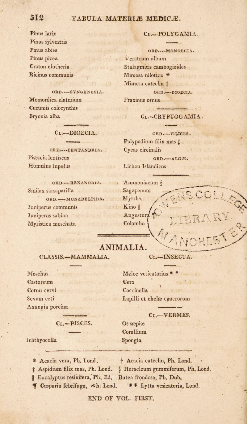 Pinus larix Pinus sylvestris Pinus abies Pinus picea Croton elutheria Ricinus communis ORD.— SYNGENESIA. Momordica elaterium Cucumis colocynthis Bryonia alba Cl—DIOECIA. ORD-PENTANDRIA. Pistacia lentiscus Humulus lupulus Cl.—POLYGAMIA, ORD.—-MONOECIA. Veratrum album Stalagmitis cambogioides Mimosa nilotica * Mimosa catechu { ORD-DIOECIA. Fraxinus ornus Cl.-CRYPTGGAMIA. ORD-FILlCES. Polypodium hlix mas £ Cycas circinalis ORD-ALG-ffi. Lichen Islandicus OIID.—hexandria. Smilax sarsaparilla ORD_-M0NADELPH1A-. Juniperus communis Juniperus sabina Myristica moschata Ammoniacum § Sagapcnum Myrrh a ^ Kino II ^ , * r- r* Angustura ^ r- A Colombo I ANIMALIA. f n ' * /l; *• r v > 5 T’' v io ni: CLASSIS.—MAMMALIA. Cl.—IN SECT A. Moschus Castoreum Cornu cervi Sevum ceti Axungi,a porcina Cl.—PISCES. Ichthyocolla Meloe vesicatorius * * Cera \ Coccinella Lapilli et chelae cancrorum Cl.—VERMES. Os ssepiae Corallium Spongia # Acacia vera, Ph. Lond. f Acacia catechu, Ph. Lond. * % Aspidium filix mas, Ph. Lond. § Heracleum gummiferum, Ph, Lond, II Eucalyptus resinffera, Ph. Ed. Butea frondosa, Ph. Dub, % Cusparia febrifuga, xOh. Lond, ** Lytta yesicatoria, Lond. END OF VOL FIRST,