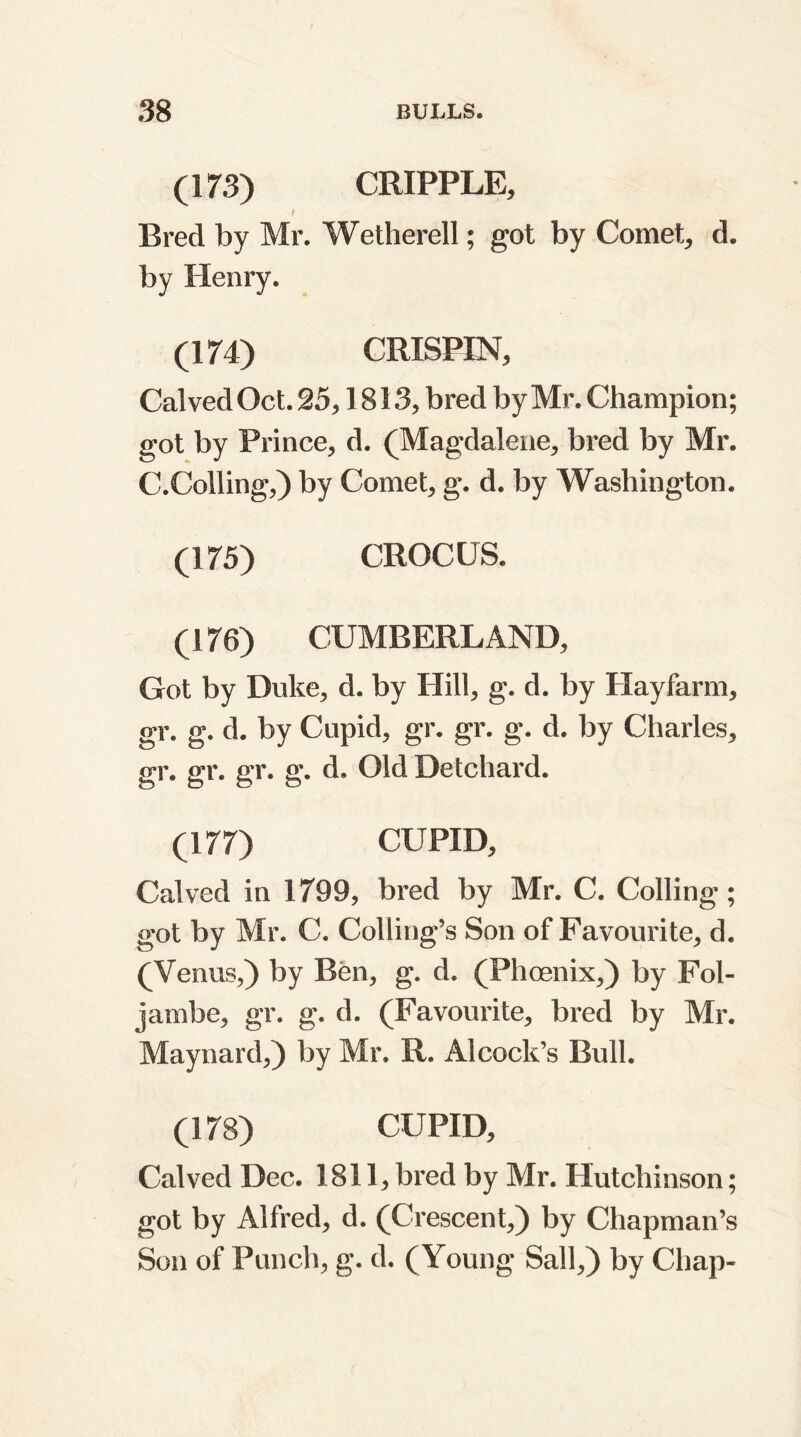 (173) CRIPPLE, t Bred by Mr. Wetherell; got by Comet, d. by Henry. (174) CRISPIN, Calved Oct. 25,1813, bred by Mr. Champion; got by Prince, d. (Magdalene, bred by Mr. C.Colling,) by Comet, g. d. by Washington. (175) CROCUS. (176) CUMBERLAND, Got by Duke, d. by Hill, g. d. by Hayfarm, gr. g. d. by Cupid, gr. gr. g. d. by Charles, gr. gr. gr. g. d. Old Detchard. (177) CUPID, Calved in 1799, bred by Mr. C. Colling; got by Mr. C. Colling’s Son of Favourite, d. (Venus,) by Ben, g. d. (Phoenix,) by Fol- jambe, gr. g. d. (Favourite, bred by Mr. Maynard,) by Mr. R. Alcock’s Bull. (178) CUPID, Calved Dec. 1811, bred by Mr. Hutchinson; got by Alfred, d. (Crescent,) by Chapman’s Son of Punch, g. d. (Young Sail,) by Chap-