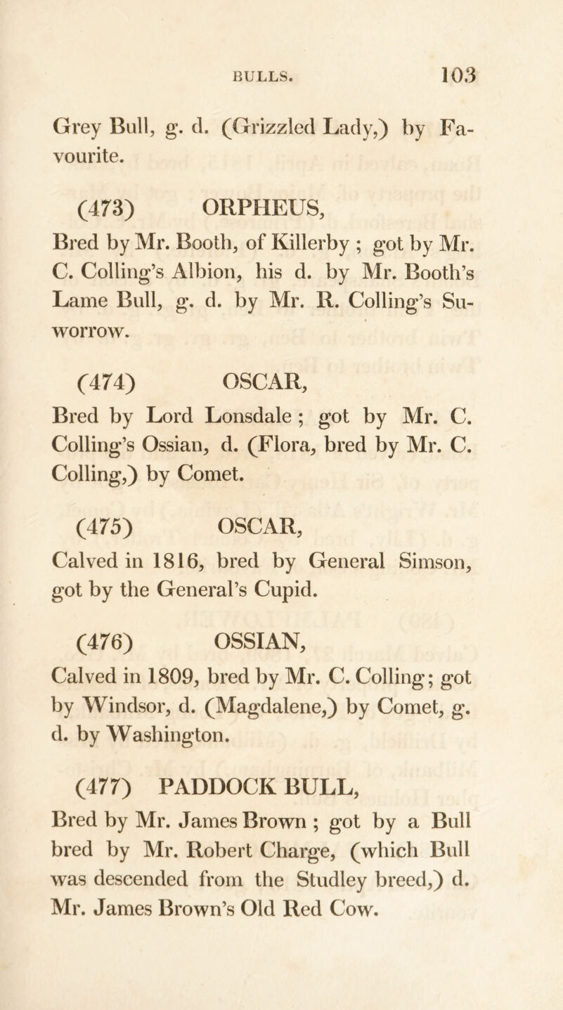 Grey Bull, g. cl. (Grizzled Lady,) by Fa- vourite. (473) ORPHEUS, Bred by Mr. Booth, of Killerby ; got by Mr. C. Colling’s Albion, his d. by Mr. Booth’s Lame Bull, g. d. by Mr. R. Colling’s Su- worrow. (474) OSCAR, Bred by Lord Lonsdale ; got by Mr. C. Colling’s Ossian, d. (Flora, bred by Mr. C. Colling,) by Comet. (475) OSCAR, Calved in 1816, bred by General Simson, got by the General’s Cupid. (476) OSSIAN, Calved in 1809, bred by Mr. C. Colling; got by Windsor, d. (Magdalene,) by Comet, g. d. by Washington. (477) PADDOCK BULL, Bred by Mr. James Brown ; got by a Bull bred by Mr. Robert Charge, (which Bull was descended from the Studley breed,) d. Mr. James Brown’s Old Red Cow.