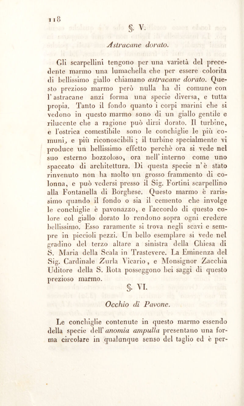 Astracane dorato. Gli scarpellini tengono per una varietà del prece- dente marmo una lumacliella eli e per essere colorita di bellissimo giallo chiamano astracane dorato. Que- sto prezioso marmo però nulla ha di comune con l’astracane anzi forma una specie diversa, e tutta propia. Tanto il fondo quanto i corpi marini che si vedono in questo marmo sono di un giallo gentile e rilucente che a ragione può dirsi dorato. Il turbine, e l’ostrica comestibile sono le conchiglie le più co- muni., e più riconoscibili ; il turbine specialmente vi produce un bellissimo effetto perchè ora si vede nel suo esterno bozzoloso, ora nell’interno come uno spaccato di architettura. Di questa specie n’ è stato rinvenuto non ha molto un grosso frammento di co- lonna, e può vedersi presso il Sig. Fortini scarpellino alla Fontanella di Borghese. Questo marmo è raris- simo quando il fondo o sia il cemento che involge le conchiglie è pavonazzo, e l’accordo di questo co- lore col giallo dorato lo rendono sopra ogni credere bellissimo. Esso raramente si trova negli scavi e sem- pre in piccioli pezzi. Un bello esemplare si vede nei gradino del terzo altare a sinistra della Chiesa di S. Maria della Scala in Trastevere. La Eminenza del Sig. Cardinale Zurla Vicario, e Monsignor Zacchia Uditore della S. Rota posseggono bei saggi di questo prezioso marmo. §• vi. Occhio di Pavone. Le conchiglie contenute in questo marmo essendo della specie dell’ anomia anipulla presentano una for- ma circolare in qualunque senso del taglio ed è per-