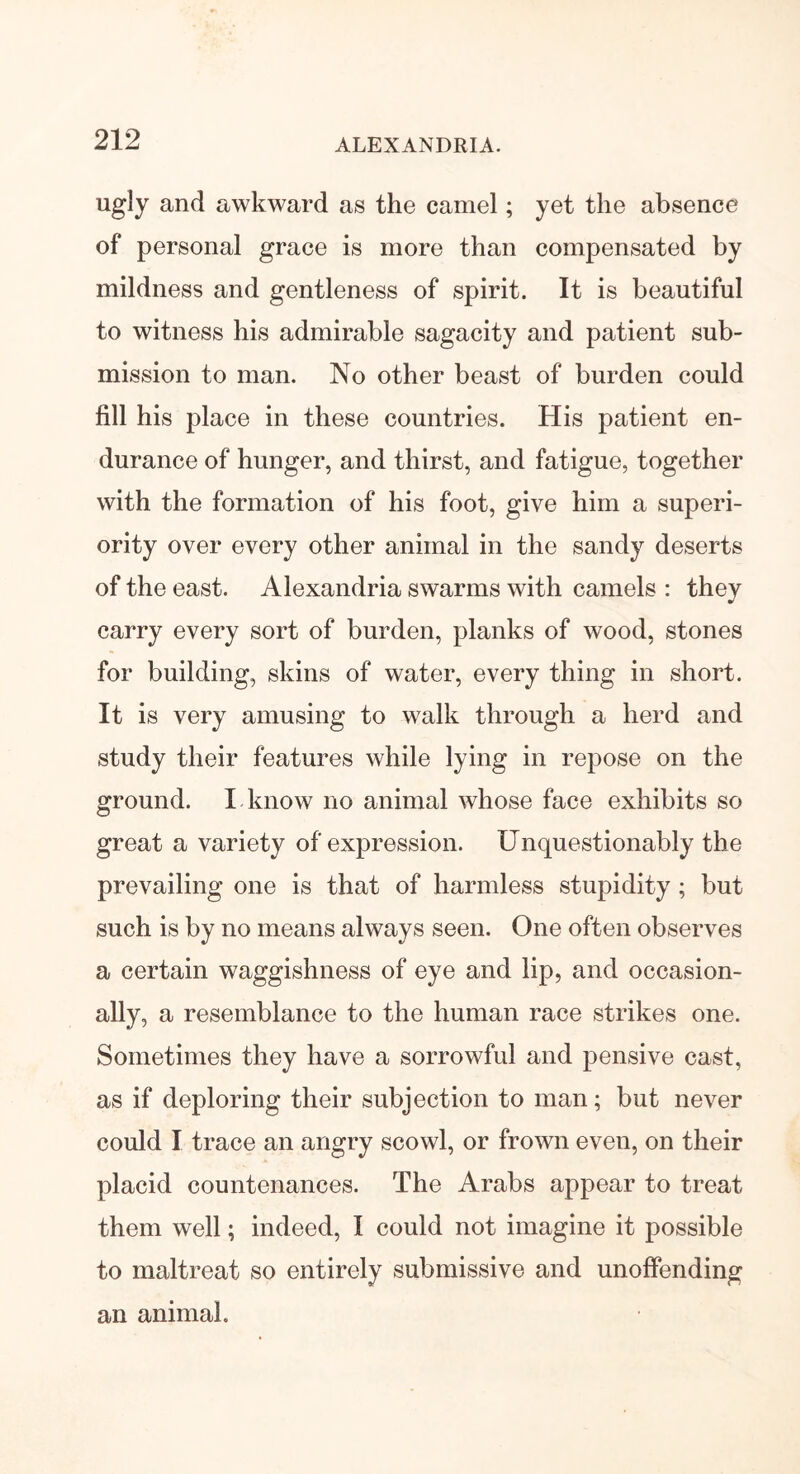 ugly and awkward as the camel; yet the absence of personal grace is more than compensated by mildness and gentleness of spirit. It is beautiful to witness his admirable sagacity and patient sub- mission to man. No other beast of burden could fill his place in these countries. His patient en- durance of hunger, and thirst, and fatigue, together with the formation of his foot, give him a superi- ority over every other animal in the sandy deserts of the east. Alexandria swarms with camels : they carry every sort of burden, planks of wood, stones for building, skins of water, every thing in short. It is very amusing to walk through a herd and study their features while lying in repose on the ground. I know no animal whose face exhibits so great a variety of expression. Unquestionably the prevailing one is that of harmless stupidity ; but such is by no means always seen. One often observes a certain waggishness of eye and lip, and occasion- ally, a resemblance to the human race strikes one. Sometimes they have a sorrowful and pensive cast, as if deploring their subjection to man; but never could I trace an angry scowl, or frown even, on their placid countenances. The Arabs appear to treat them well; indeed, I could not imagine it possible to maltreat so entirely submissive and unoffending an animal.