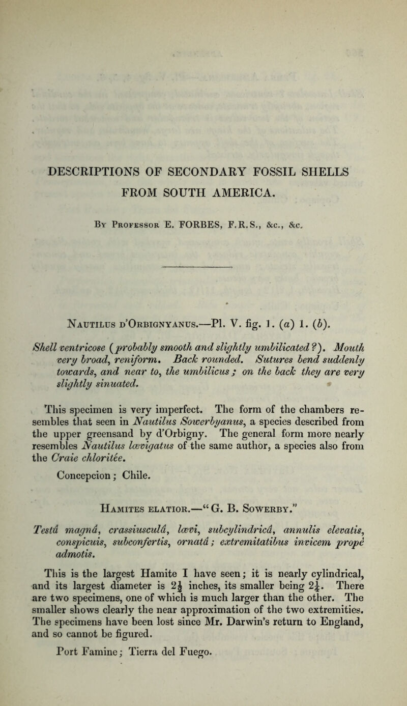 DESCRIPTIONS OF SECONDARY FOSSIL SHELLS FROM SOUTH AMERICA. By Professor E. FORBES, F.R.S., &c., &c. Nautilus d’Orbignyanus.—PI. V. fig. 1. (a) 1. (b). Shell ventricose (probably smooth and slightly umbilicated ?), Mouth very broad, reniform. Back rounded. Sutures bend suddenly towards, and near to, the umbilicus ; on the back they are very slightly sinuated. This specimen is very imperfect. The form of the chambers re- sembles that seen in Nautilus Sowerbyanus, a species described from the upper greensand by d’Orbigny. The general form more nearly resembles Nautilus lasvigatus of the same author, a species also from the Craie chloritee. Concepcion; Chile. Hamites elatior.—“ G. B. Sowerby.” Testd magnd, crassiusculd, Icevi, subcylindricd, annulis elevatis, conspicuis, subconfertis, ornatd; extremitatibus invicem prope admotis. This is the largest Hamite I have seen; it is nearly cylindrical, and its largest diameter is inches, its smaller being 2^. There are two specimens, one of which is much larger than the other. The smaller shows clearly the near approximation of the two extremities. The specimens have been lost since Mr. Darwin’s return to England, and so cannot be figured. Port Famine; Tierra del Fuego.