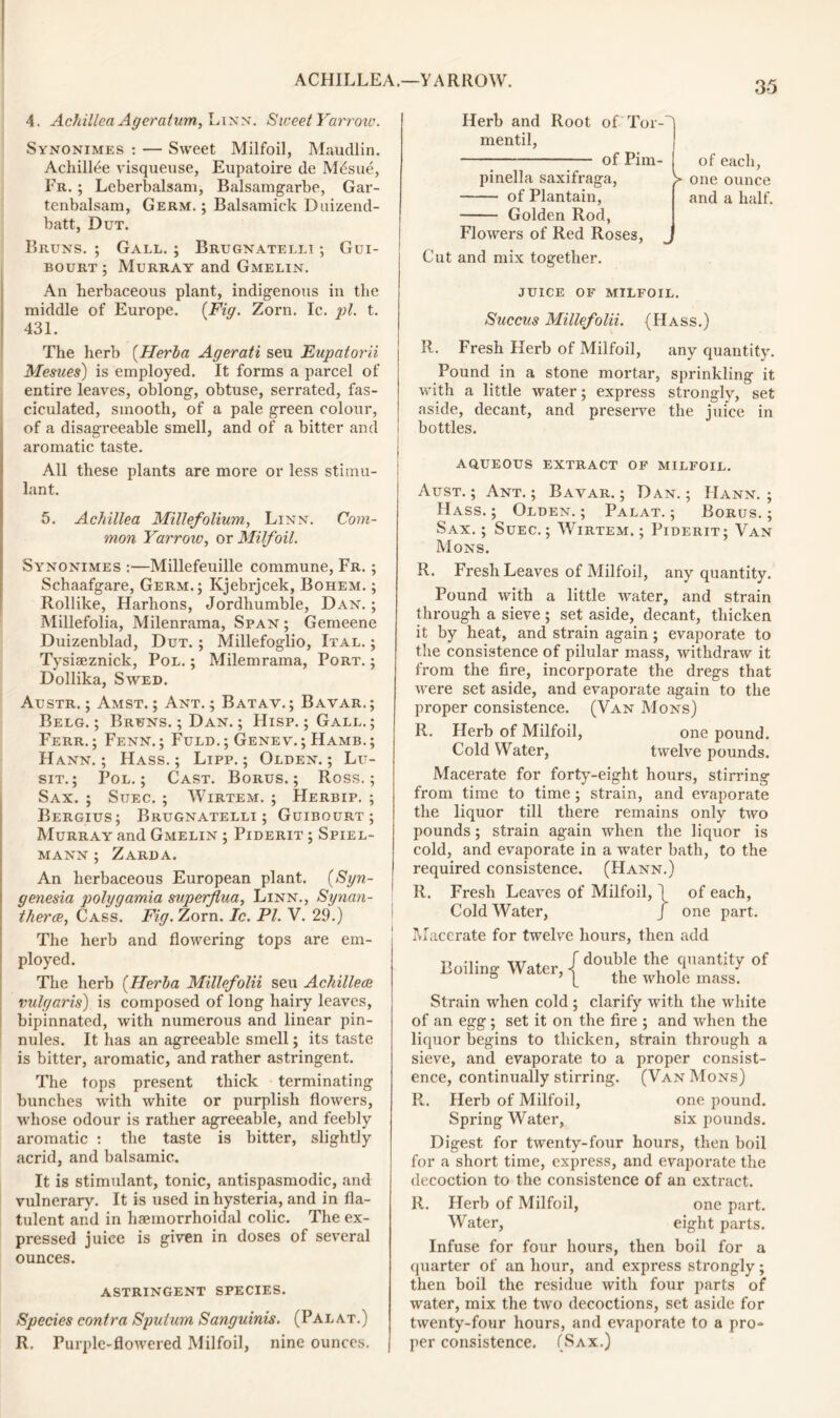 i. Achillea Ageralum, Linn. Sweet Yarrow. Synonimes : — Sweet Milfoil, Maudlin. Achill^e visqueuse, Eupatoire de Mdsue, Fr. ; Leberbalsam, Balsamgarbe, Gar- tenbalsam, Germ. ; Balsamick Duizend- batt, Dut. Bruns. ; Gall. ; Brugnatelli ; Gui- bourt; Murray and Gmelin. An herbaceous plant, indigenous in the middle of Europe. (Fig. Zorn. Ic. pi. t. 431. The herb (Herba Agerati seu Eupatorii Mesues) is employed. It forms a parcel of entire leaves, oblong, obtuse, serrated, fas- ciculated, smooth, of a pale green colour, of a disagreeable smell, and of a bitter and aromatic taste. All these plants are more or less stimu- lant. 5. Achillea Millefolium, Linn. Com- mon Yarrow, ox Milfoil. Synonimes :—Millefeuille commune, Fr. ; Schaafgare, Germ.; Kjebrjcek, Bohem. ; Rollike, Harhons, Jordhumble, Dan.; Millefolia, Milenrama, Span ; Gemeene Duizenblad, Dut. ; Millefoglio, Ital. ; Tysiaeznick, Pol. ; Milemrama, Port. ; Dollika, Swed. Austr. ; Amst. ; Ant.; Batav.; Bavar.; Belg. ; Bruns. ; Dan. ; Hisp. ; Gall.; Ferr. ; Fenn. ; Fuld. ; Genev. ; Hamb. ; Hann. ; Hass.; Lipp. ; Olden.; Lu- sit. ; Pol.; Cast. Borus. ; Ross.; Sax. ; Stjec. ; Wirtem. ; Herbip. ; Bergius; Brugnatelli ; Guibourt ; Murray and Gmelin ; Piderit ; Spiel- mann ; Zarda. An herbaceous European plant. (Syn- genesia polygamia superflua, Linn., Synan- therw, Cass. Fig. Zorn. Ic. PI. V. 29.) The herb and flowering tops are em- ployed. The herb (Herba Millefolii seu Achillece vulgaris) is composed of long hairy leaves, bipinnated, with numerous and linear pin- nules. It has an agreeable smell; its taste is bitter, aromatic, and rather astringent. The tops present thick terminating bunches with white or purplish flowers, whose odour is rather agreeable, and feebly aromatic : the taste is bitter, slightly acrid, and balsamic. It is stimulant, tonic, antispasmodic, and vulnerary. It is used in hysteria, and in fla- tulent and in haemorrhoidal colic. The ex- pressed juice is given in doses of several ounces. astringent species. Species contra Sputum Sanguinis. (Pal at.) R. Purple-flowered Milfoil, nine ounces. Herb and Root of Tor--) mentil, j of Pirn- of each, pinella saxifraga, V one ounce of Plantain, and a half. Golden Rod, Flowers of Red Roses, Cut and mix together. juice of milfoil. Succus Millefolii. (Hass.) R. Fresh Herb of Milfoil, any quantity. Pound in a stone mortar, sprinkling it with a little water; express strongly, set aside, decant, and preserve the juice in bottles. aqueous extract of milfoil. Aust. ; Ant.; Bavar. ; Dan.; Hann.; Hass.; Olden.; Palat. ; Borus.; Sax.; Suec.; Wirtem.; Piderit; Van Mons. R. Fresh Leaves of Milfoil, any quantity. Pound with a little water, and strain through a sieve ; set aside, decant, thicken it by heat, and strain again ; evaporate to the consistence of pilular mass, withdraw it from the fire, incorporate the dregs that were set aside, and evaporate again to the proper consistence. (Van Mons) R. Herb of Milfoil, one pound. Cold Water, twelve pounds. Macerate for forty-eight hours, stirring from time to time ; strain, and evaporate the liquor till there remains only two pounds; strain again when the liquor is cold, and evaporate in a water bath, to the required consistence. (Hann.) R. Fresh Leaves of Milfoil, ^ of each, Cold Water, J one part. Macerate for twelve hours, then add Boiling Water, double the quantity of the whole mass. Strain when cold ; clarify with the white of an egg; set it on the fire ; and when the liquor begins to thicken, strain through a sieve, and evaporate to a proper consist- ence, continually stirring. (Van Mons) R. Herb of Milfoil, one pound. Spring Water, six pounds. Digest for twenty-four hours, then boil for a short time, express, and evaporate the decoction to the consistence of an extract. R. Herb of Milfoil, one part. Water, eight parts. Infuse for four hours, then boil for a quarter of an hour, and express strongly; then boil the residue with four parts of water, mix the two decoctions, set aside for twenty-four hours, and evaporate to a pro- per consistence. (Sax.)