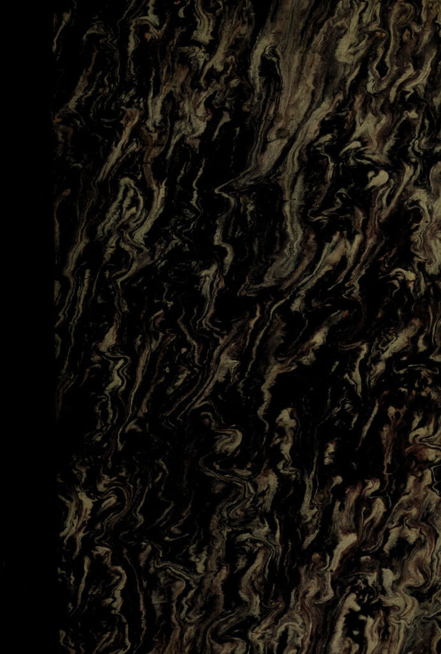 digitised image 1
