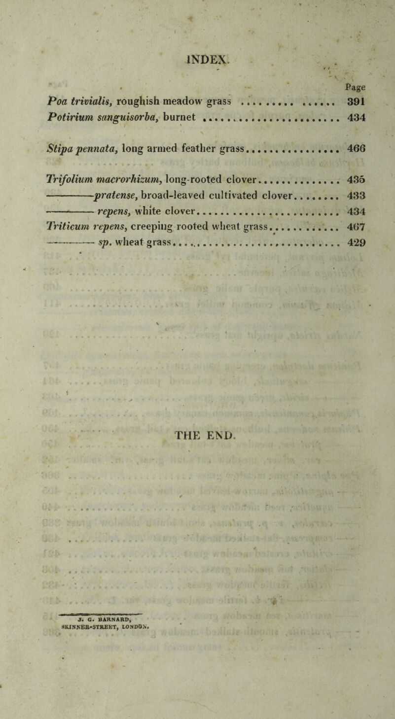 . - ' i^age Poa trivialis, roughish meadow grass . 391 Potirium sanguisorba, burnet 434 \ Slipa pennata, long armed feather grass 466 . ■ - * . . v; Trifolium macrorhizum,\ong voo\e.^ clover 436 —; broad-leaved cultivated clover 433 repens^ white clover 434 Triticum repens, creeping rooted wheat grass ;.... 467 sp, wheat grass 429 J. G. BARNARD, SKINNBE-STREET, LONDON.