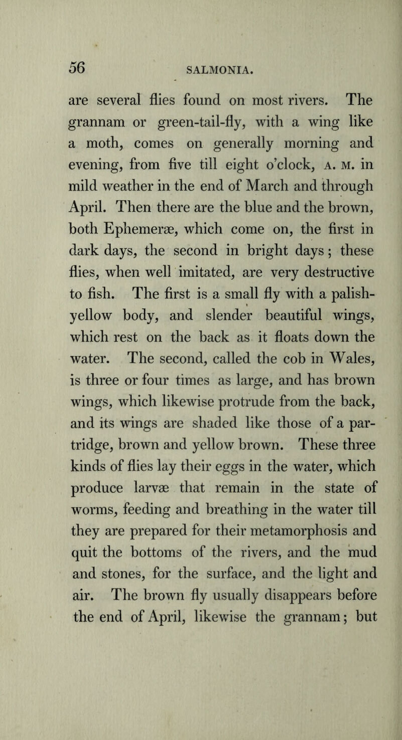 are several flies found on most rivers. The grannam or green-tail-fly, with a wing like a moth, comes on generally morning and evening, from five till eight o’clock, a. m. in mild weather in the end of March and through April. Then there are the blue and the brown, both Ephemerae, which come on, the first in dark days, the second in bright days; these flies, when well imitated, are very destructive to fish. The first is a small fly with a palish- yellow body, and slender beautiful wings, which rest on the back as it floats down the water. The second, called the cob in Wales, is three or four times as large, and has brown wings, which likewise protrude from the back, and its wings are shaded like those of a par- tridge, brown and yellow brown. These three kinds of flies lay their eggs in the water, which produce larvae that remain in the state of worms, feeding and breathing in the water till they are prepared for their metamorphosis and quit the bottoms of the rivers, and the mud and stones, for the surface, and the light and air. The brown fly usually disappears before the end of April, likewise the grannam; but