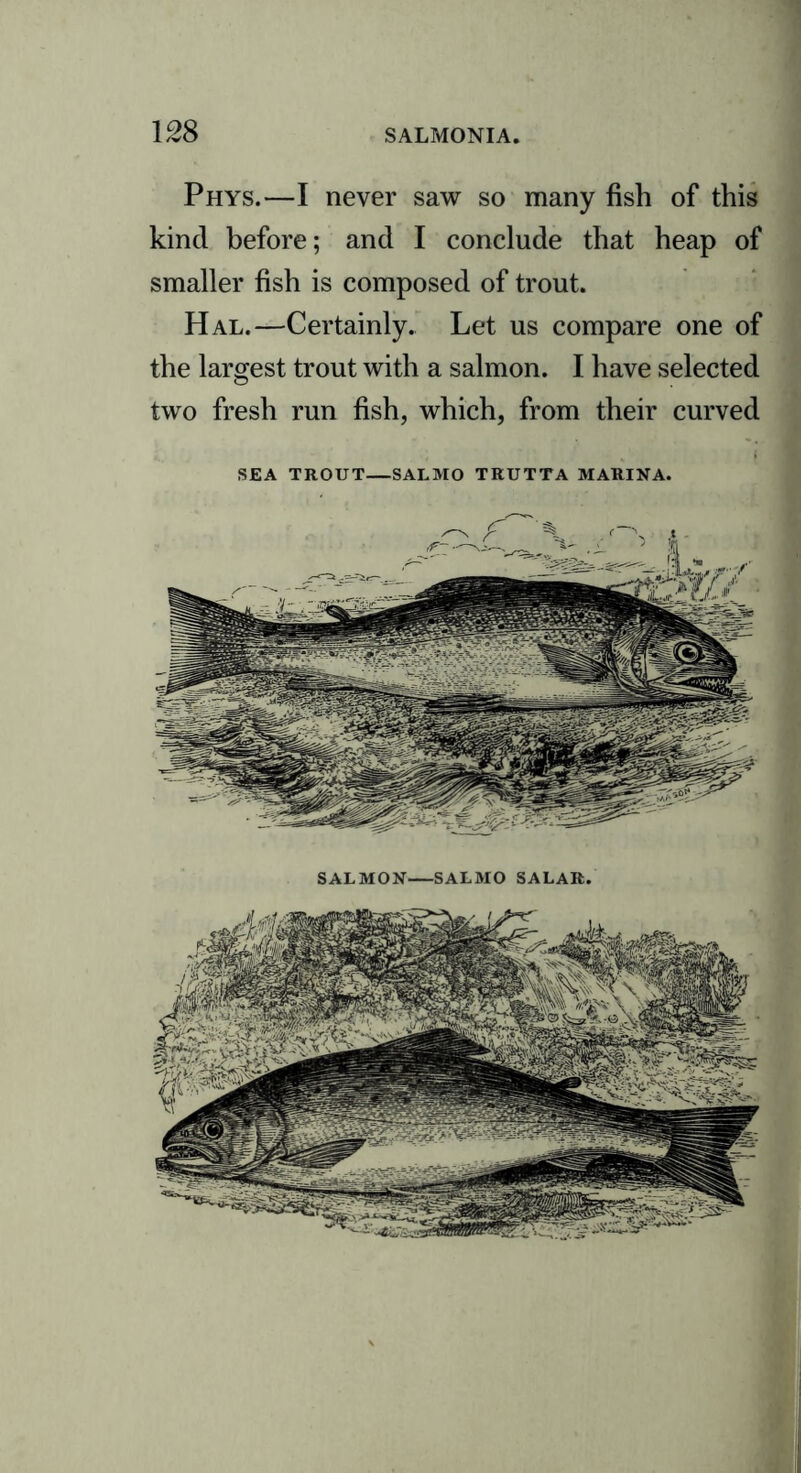 Phys.—I never saw so many fish of this kind before; and I conclude that heap of smaller fish is composed of trout. Hal.—Certainly. Let us compare one of the largest trout with a salmon. I have selected two fresh run fish, which, from their curved SEA TROUT—SALMO TRUTTA MARINA. SALMON SALMO SALAR.