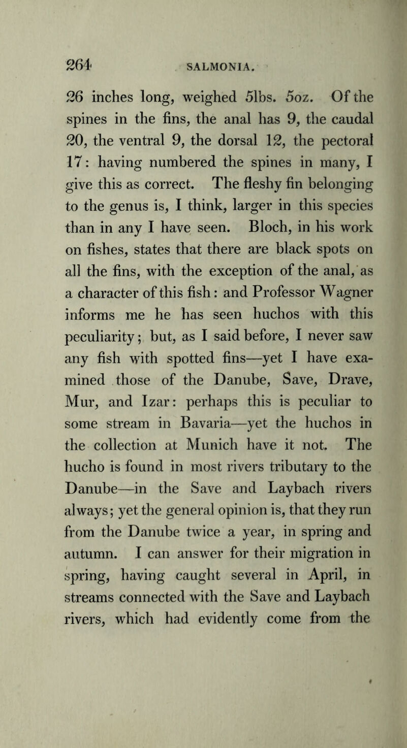 26 inches long, weighed 51bs. 5oz. Of the spines in the fins, the anal has 9, the caudal 20, the ventral 9, the dorsal 12, the pectoral 17: having numbered the spines in many, I give this as correct. The fleshy fin belonging to the genus is, I think, larger in this species than in any I have seen. Bloch, in his work on fishes, states that there are black spots on all the fins, with the exception of the anal, as a character of this fish: and Professor Wagner informs me he has seen huchos with this peculiarity; but, as I said before, I never saw any fish with spotted fins—yet I have exa- mined those of the Danube, Save, Drave, Mur, and Izar: perhaps this is peculiar to some stream in Bavaria—yet the huchos in the collection at Munich have it not. The hucho is found in most rivers tributary to the Danube—in the Save and Laybach rivers always; yet the general opinion is, that they run from the Danube twice a year, in spring and autumn. I can answer for their migration in spring, having caught several in April, in streams connected with the Save and Laybach rivers, which had evidently come from the