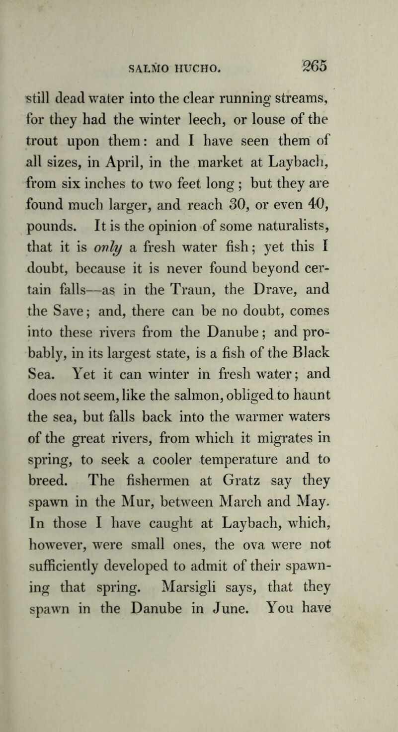 still dead water into the clear running streams, for they had the winter leech, or louse of the trout upon them: and I have seen them of all sizes, in April, in the market at Laybach, from six inches to two feet long ; but they are found much larger, and reach 30, or even 40, pounds. It is the opinion of some naturalists, that it is ovly a fresh water fish; yet this I doubt, because it is never found beyond cer- tain falls—as in the Traun, the Drave, and the Save; and, there can be no doubt, comes into these rivers from the Danube; and pro- bably, in its largest state, is a fish of the Black Sea. Yet it can winter in freshwater; and does not seem, like the salmon, obliged to haunt the sea, but falls back into the warmer waters of the great rivers, from which it migrates in spring, to seek a cooler temperature and to breed. The fishermen at Gratz say they spawn in the Mur, between March and May. In those I have caught at Laybach, which, however, were small ones, the ova were not sufficiently developed to admit of their spawn- ing that spring. Marsigli says, that they spawn in the Danube in June. You have