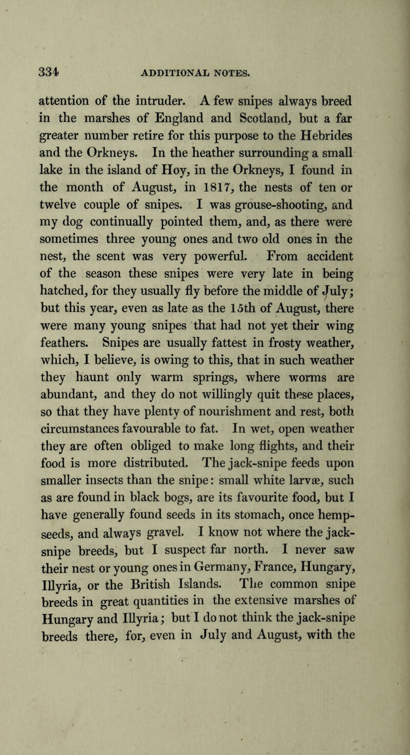 attention of the intruder. A few snipes always breed in the marshes of England and Scotland, but a far greater number retire for this purpose to the Hebrides and the Orkneys. In the heather surrounding a small lake in the island of Hoy, in the Orkneys, I found in the month of August, in 1817, the nests of ten or twelve couple of snipes. I was grouse-shooting, and my dog continually pointed them, and, as there were sometimes three young ones and two old ones in the nest, the scent was very powerful. From accident of the season these snipes were very late in being hatched, for they usually fly before the middle of July; but this year, even as late as the 15th of August, there were many young snipes that had not yet their wing feathers. Snipes are usually fattest in frosty weather, which, I believe, is owing to this, that in such weather they haunt only warm springs, where worms are abundant, and they do not willingly quit these places, so that they have plenty of nourishment and rest, both circumstances favourable to fat. In wet, open weather they are often obliged to make long flights, and their food is more distributed. The jack-snipe feeds upon smaller insects than the snipe: small white larvae, such as are found in black bogs, are its favourite food, but I have generally found seeds in its stomach, once hemp- seeds, and always gravel. I know not where the jack- snipe breeds, but I suspect far north. I never saw their nest or young ones in Germany, France, Hungary, Illyria, or the British Islands. The common snipe breeds in great quantities in the extensive marshes of Hungary and Illyria; but I do not think the jack-snipe breeds there, for, even in July and August, with the