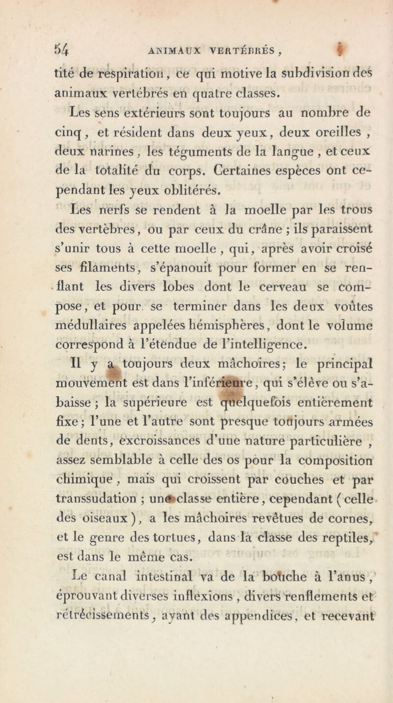 tité de respiration , ce qui motive la subdivision des animaux vertébrés en quaire classes. Les sens extérieurs sont toujours au nombre de cinq, et résident dans deux yeux, deux oreilles , deux narines, les téguments de la langue , et ceux de la totalité du corps. Certaines espèces ont ce- pendant les yeux oblitérés. Les nerfs se rendent à la moelle par les trous des vertèbres, ou par ceux du crâne ; ils paraissent s’unir tous à cette moelle, qui, après avoir croisé ses filaments, s’épanouit pour former en se ren- flant les divers lobes dont le cerveau se com- pose, et pour se terminer dans les deux voûtes médullaires appelées hémisphères, dont le volume correspond à l’étèndue de l’intelligence. Il y a toujours deux mâchoires; le principal mouvement est dans l’inférieure, qui s’élève ou s’a- baisse ; la supérieure est quelquefois entièrement fixe ; l’une et l’autre sont presque toujours armées de dents, excroissances d’une nature particulière , assez semblable à celle des os pour la composition chimique, mais qui croissent par couches et par transsudation ; une classe entière, cependant ( celle des oiseaux ), a les mâchoires revêtues de cornes, et le genre des tortues, dans la classe des reptiles, est dans le même cas. Le canal intestinal va de la boliche à l’anus, éprouvant diverses inflexions , divers renflements et rétrécissements^ ayant des appendices, et recevant