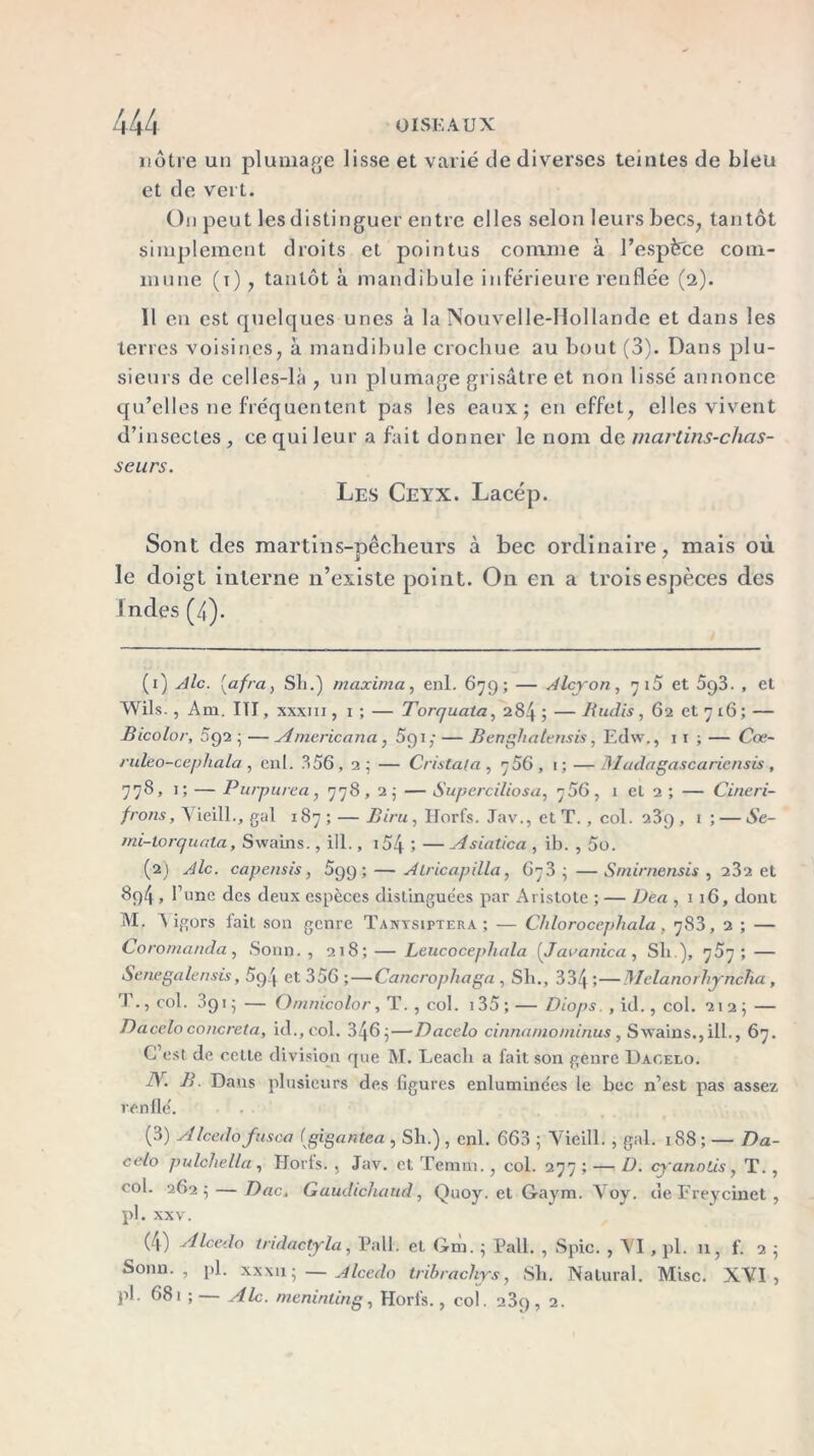 notre un plumage lisse et varié de diverses teintes de bleu et de vert. On peut les distinguer entre elles selon leurs becs, tantôt simplement droits et pointus comme à l’espèce com- mune (i), tantôt à mandibule inférieure renflée (2). II en est quelques unes à la Nouvelle-Hollande et dans les terres voisines, à mandibule crochue au bout (3). Dans plu- sieurs de celles-là , un plumage grisâtre et non lissé annonce qu’elles ne fréquentent pas les eaux; en effet, elles vivent d’insectes , ce qui leur a fait donner le nom de martins-chas- seurs. Les Ceyx. Lacép. Sont des martins-pêcheurs à bec ordinaire, mais où J 7 le doigt interne n’existe point. On en a trois espèces des Indes (4). (1) Aie. (afra, Sli.) maxitna, enl. 679; — Alcyon, 715 et 5ç)3. , et Wils., Am. III, xxxiii , 1 ; — Torquata, 284 ; — Rudis, 62 et 7 16 ; — Bicolor, 592 ; —Americana, 5g 1 ,• — Benghatensis, Edw., 11 ; — Cœ~ ruleo-cephala , enl. 356,2 ; — Cristal a , 756 , 1 ; — 31ada gascariensis , 778, 1; — Purpurea, 778, 2; — Superciliosa, 756, 1 et 2 ; — Cineri- frons, Vieill., gai 187; — Biru, Horfs. Jav., et T. , col. 23g, 1 ; — Se- mi-torquala, Swains., ill., i54 ; — Asiatica , ib. , 5o. (2) Aie. capensis, 599 ; — Alricapilla, 673 ; —Smirnensis , 232 et 8g4 , l’une des deux espèces distinguées par Aristote ; — Dea ,116, dont M. Yigors fait son genre Tanysiptera ; — Chlorocephala . 783, 2 ; — Coromanda, Sonn. , 218; — Leucocephala (Javanica , Sli ), 767; — Senegalensis, 5g4 et 356 ;—Cancrophaga , Sli., 334 —Melanorhyncha, 1 ., col. 891 ; — Omnicolor, T. , col. 135 ; — Diops. , id., col. 21 2 ; — Dacelo concreta, id.,col. 346;—Dacelo cinnarno minus , Swains.,ill., 67. C’est de cette division que M. Leacli a fait son genre Dacelo. N. B. Dans plusieurs des figures enluminées le bec n’est pas assez renflé. (3) Alcedo fusca (gigantea , Sh.), enl. 663 ; Vieill. , gai. 188 ; — Da- celo pulchella, Horfs. , Jav. et Temm., col. 277 ; — D. cyanoLis, T. , col. 262; — Dac, Gaudichand, Quoy. et Gaym. Voy. de Freycinet, pl . XXV. (4) Alcedo tndactyla, Pall. et Gm. ; Pall. , Spic. , VI , pl. 11, f. 2 ; Sonn. , pl. xxxn ; — Alcedo tribracliys, Sli. Natural. Mise. XVI > pl. 681 ;— Aie. meninting, Horfs., col. 2 3g, 2.