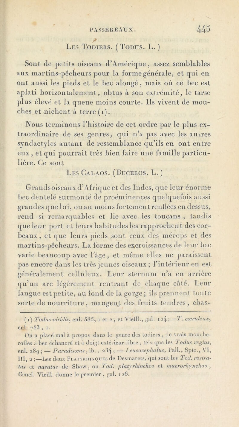 a Les Todiers. (Todus. L. ) Sont de petits oiseaux d’Amérique, assez semblables aux martins-pêcheurs pour la forme générale, et qui en ont aussi les pieds et le bec alongé, mais où ce bec est aplati horizontalement, obtus à son extrémité, le tarse plus élevé et la queue moins courte. Ils vivent de mou- ches et nichent à terre (1). Nous terminons l’histoire de cet ordre par le plus ex- traordinaire de ses genres, qui n’a pas avec les autres syndactyles autant de ressemblance qu’ils en ont entre eux , et qui pourrait très bien faire une famille particu- lière. Ce sont Les Calaos. (Buceros. L. ) Grand s oiseaux d’Afrique et des Indes, que leur énorme bec dentelé surmonté de proéminences quelquefois aussi grandes que lui, ou au moins fortement renflées en dessus, rend si remarquables et lie avec les toucans , tandis que leur port et leurs habitudes les rapprochent des cor- beaux , et que leurs pieds sont ceux des mérops et des martins-pêcheurs. La forme des excroissances de leur bec varie beaucoup avec l’àge, et même elles ne paraissent pas encore dans les très jeunes oiseaux; l’intérieur en est généralement celluleux. Leur sternum n’a en arrière qu’un arc légèrement rentrant de chaque côlé. Leur langue est petite, au fond de la gorge ; ils prennent toute sorte de nourriture, mangent des fruits tendres, chas- (i) Todus viridis, enl. 585, i et 2, cl Vieil!., gai. i 2 4 j — T. cœrulcus, enl. 783 , 1. On a place' mal à propos dans le genre des todiers, de vrais mouclie- rolles à bec cchancré et à doigt extérieur libre , teis que les Todus regius, enl. 289 ; — Paradisœus, ib. , 234 i — Leucocephalus, bail., Spic., \ I, III, 2 ;—Les deux Plxtyrhinques de Dcsmarets, qui sont les Tod. rosira- tus et nasutus de Shaw, ou Tod. platjrlùnchos et macrorhynchos , Gmel. Vieill. donne le premier , gai. 126.