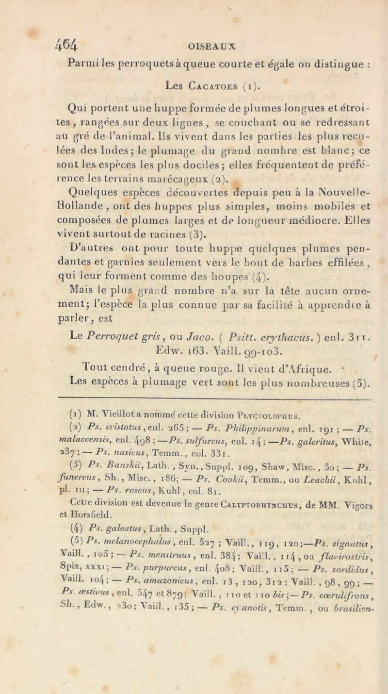 Parmi les perroquets à queue courte el égale on distingue : Les Cacatoès (i). Qui portent une huppe formée de plumes longues et étroi- tes , rangées sur deux, lignes, se couchant ou se redressant au gré de l’animal. Ils vivent dans les parties les plus recu- lées des Indes j le plumage du grand nombre est blanc; ce sont les espèces les plus dociles; elles fréquentent de préfé- rence les terrains marécageux (2). Quelques espèces découvertes depuis peu à la Nouvelle- Hollande , ont des huppes plus simples, moins mobiles et composées de plumes larges et de longueur médiocre. Elles vivent surtout de racines (3). D’autres ont pour toute huppe quelques plumes pen- dantes et garnies seulement vers le bout de barbes effilées , qui leur forment comme des houpes (4). Mais le plus grand nombre n’a sur la tête aucun orne- ment; l’espèce la plus connue par sa facililé à apprendre à parler, est Le Perroquet gris, ou Jaco. ( Psitt, crythcicus. ) enl. 3i 1. Edw. i63. Yaill. 99-103. lout cendré, à queue rouge. Il vient d’Afrique. * Les espèces à plumage vert sont les plus nombreuses (5). (1) M. Vieillot a nomme' cette division Plyctolopiius. (2) Ps. cvislatus , enl. 265; — Ps. Phihppinarum , enl. 191 ; — Ps. malaccensis, enl. 4q8 ; — Ps. sulfureus, enl. 14 ; — Ps. galerùus, Wlùlc, 3^7 ; — Ps. nasicus, Tcram., col. 33i. (3) Ps. Banskii, Latli. , Syn., Suppl. 109, Shaw, Mise., 5o ; — Ps. funereus, Sh. , Mise., 186; — Ps. Cookii, Temm., ou Leachii, Kuhl, pl. ni ; — Ps. roseus, Kulil, col. 81. Celle division est devenue le genre Calyptorhynckus, de MM. Vigors et Horsfield. (4) Ps. galeatus, Latli., Suppl. (.)) Ps. mclanocepha lus en 1. 527 ; Vail!., 119, 120;—Ps. signutus, Vnill. , io5 ; Ps. rnenstruus , enl. 384; Vaill., 114 9 ou flavirostris, Spix, xxxi ; — Ps. purpureus, enl. 4o8 ; Vaiil., 1 i5; — Ps. sordidus, Vaill. io4; — Ps. amazonicus, enl. 13 , 120, 3i 2 ; Vaiil. , 98,99 ; — Ps. œstivus , enl. 047 et 879; Vaill. , 110 et 1 10 bis;—Ps. cœ'rulifrons, Sh., Edw., ->3o ; Y aiil., r 35 ; — Ps. cyanotis, Temm. , ou brasilien-