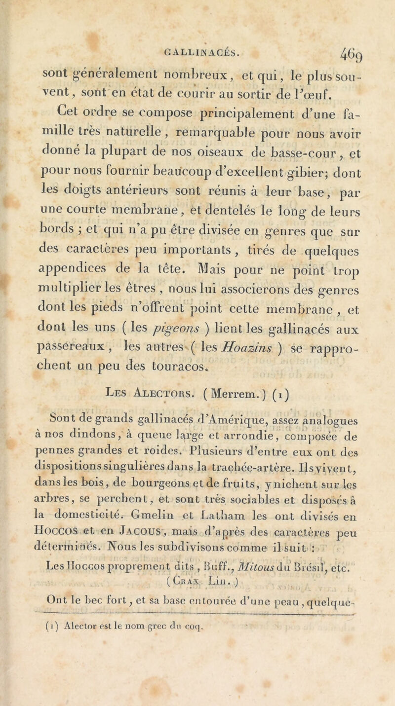 409 sont généralement nombreux, et qui, le plus sou- vent, sont en état de courir au sortir de l’œuf. Cet ordre se compose principalement d’une fa- mille très naturelle, remarquable pour nous avoir donné la plupart de nos oiseaux de basse-cour, et pour nous fournir beaucoup d’excellent gibier; dont les doigts antérieurs sont réunis à leur base, par une courte membrane, et dentelés le long de leurs bords ; et qui n’a pu être divisée en genres que sur des caractères peu importants , tirés de quelques appendices de la tête. Mais pour ne point trop multiplier les êtres , nous lui associerons des genres dont les pieds n’offrent point cette membrane , et dont les uns ( les pigeons ) lient les gallinacés aux passereaux , les autres ( les Hoazins ) se rappro- chent un peu des touracos. Les Alectors. (Merrem. ) (1) Sont de grands gallinacés d’Amérique, assez analogues à nos dindons, à queue large et arrondie, composée de pennes grandes et roides. Plusieurs d’entre eux ont des dispositions singulières dans la trachée-artère. Ilsvivent, dans les bois, de bourgeons et de fruits, y nichent sur les arbres, se perchent, et sont très sociables et disposés à la domesticité. Gmelin et Latham les ont divisés en Iioccos et en Jacous, mais d’après des caractères peu déterminés. Nous les subdivisons comme il suit : Les Hoccos proprement dits , Buff., Mitons du Brésil, etc. ( Crax. Lin. ) Ont le bec fort, et sa base entourée d’une peau , quelque- ( t) Alector est. le nom grec du coq.