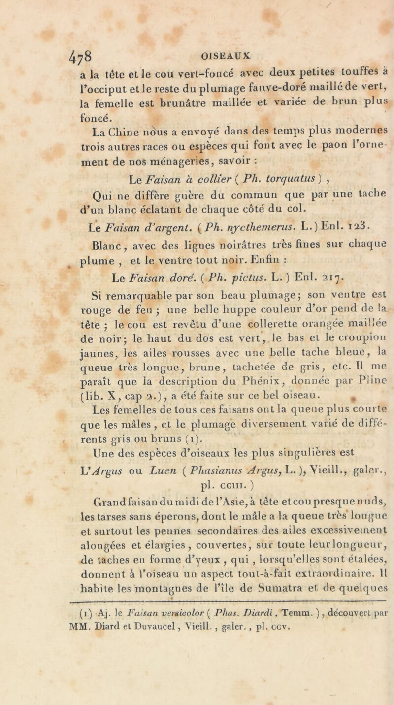 78 OISEAUX a la tête et le cou vert-foncé avec (leux petites touffes à l’occiput et le reste du plumage fauve-doré maillé de vert, la femelle est brunâtre maillée et variée de brun plus foncé. La Chine nous a envoyé dans des temps plus modernes trois autres races ou espèces qui font avec le paon l’orne- ment de nos ménageries, savoir : Le Faisan a collier ( Pli. torquatus ) , Qui ne diffère guère du commun que par une tacbe d’un blanc éclatant de chaque côté du col. Le Faisan d’argent. ( Ph. nycthemerus. L.)Enl. 123. Blanc, avec des lignes noirâtres très fines sur chaque plume , et le ventre tout noir. Enfin : Le Faisan doré. ( Ph. pictus. L. ) Enl. 217. Si remarquable par son beau plumage; son ventre est rouge de feu ; une belle huppe couleur d’or pend de la tête ; le cou est revêtu d’une collerette orangée maillée de noir; le haut du dos est vert, le bas et le croupion jaunes, les ailes rousses avec une belle tache bleue, la queue très longue, brune, tache-ée de gris, etc. 11 me paraît que la description du Phénix, donnée par Pline (lib. X, cap 2.), a été faite sur ce bel oiseau. , Les femelles de tous ces faisans ont la queue plus courte que les mâles , et le plumage diversement varié de diffé- rents gris ou bruns (1). Une des espèces d’oiseaux les plus singulières est L'Argus ou Luen (Phasianus Argus, L. ), Vieil 1., galer., pl. cciii. ) Grand faisan du midi de l’Asie, à tête et cou presque nuds, les tarses sans éperons, dont le mâle a la queue très longue et surtout les pennes secondaires des ailes excessivement alongées et élargies, couvertes, sur toute leur longueur, de taches en forme d’yeux , qui , lorsqu’elles sont étalées, donnent à l’oiseau un aspect tout-à-fait extraordinaire. Il habite les montagnes de l’île de Sumatra et de quelques (1) Aj. le Faisan veivicolor ( Plias. Diardi, Temm. ), découvert par MM. Diard et Duvaucel, Vieil!. , galer. , pl. ccv.