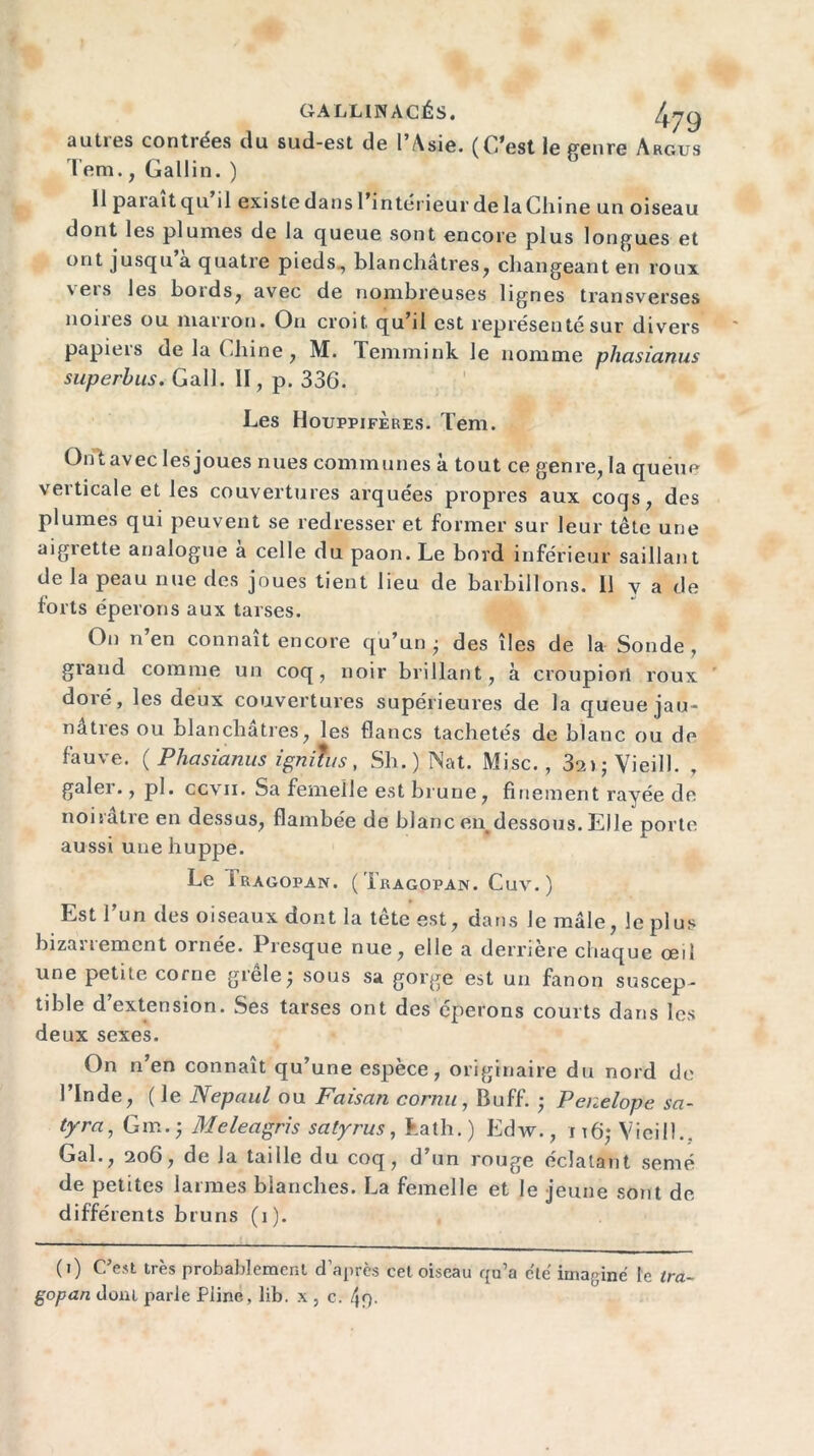 autres contrées du sud-est de l’Asie. (C’est le genre Argus Tem., Gallin. ) 11 paiait qu il existe dans 1 intérieur de laChine un oiseau dont les plumes de la queue sont encore plus longues et ont jusqu’à quatre pieds, blanchâtres, changeant en roux vers les bords, avec de nombreuses lignes transverses noues ou marron. Ou croit, qu il est représenté sur divers papiers de la Chine, M. Temmink le nomme pliasianus superbus. Gall. II, p. 336. Les Houppiferes. Tem. Ontavec les joues nues communes à tout ce genre, la queue verticale et les couvertures arquées propres aux coqs, des plumes qui peuvent se redresser et former sur leur tête une aigrette analogue à celle du paon. Le bord inférieur saillant de la peau nue des joues tient lieu de barbillons. Il y a de forts éperons aux tarses. On n’en connaît encore qu’un • des îles de la Sonde, grand comme un coq, noir brillant, à croupiofl roux doré, les deux couvertures supérieures de la queue jau- nâtres ou blanchâtres, les flancs tachetés de blanc ou de fauve. ( Phasianus ignifus, Sh.) Nat. Mise. , 3ay ; Yieill. , galei., pl. ccvii. Sa femelle est brune, finement rayée de noirâtre en dessus, flambée de blanc endessous. Elle porte aussi une huppe. Le Jragopan. ( Tragopan. Cuv. ) Est l’un des oiseaux dont la tête est, dans le mâle, le plus bizarrement ornée. Presque nue, elle a derrière chaque œil une petite corne grêle^ sous sa gorge est un fanon suscep- tible d’extension. Ses tarses ont des éperons courts dans les deux sexes. On n’en connaît qu’une espèce, originaire du nord de l’Inde, ( le Nepaul ou Faisan cornu, Buff. ; Pénélope sa- tyra, Gm.j Meleagris satyrus, Eath.) Edw., i t6; Vieil!.. Gai., 206, de la taille du coq, d un rouge éclatant semé de petites larmes blanches. La femelle et le jeune sont de différents bruns (i). (i) C’est très probablement d’après cet oiseau qu’a clé imaginé le tra-