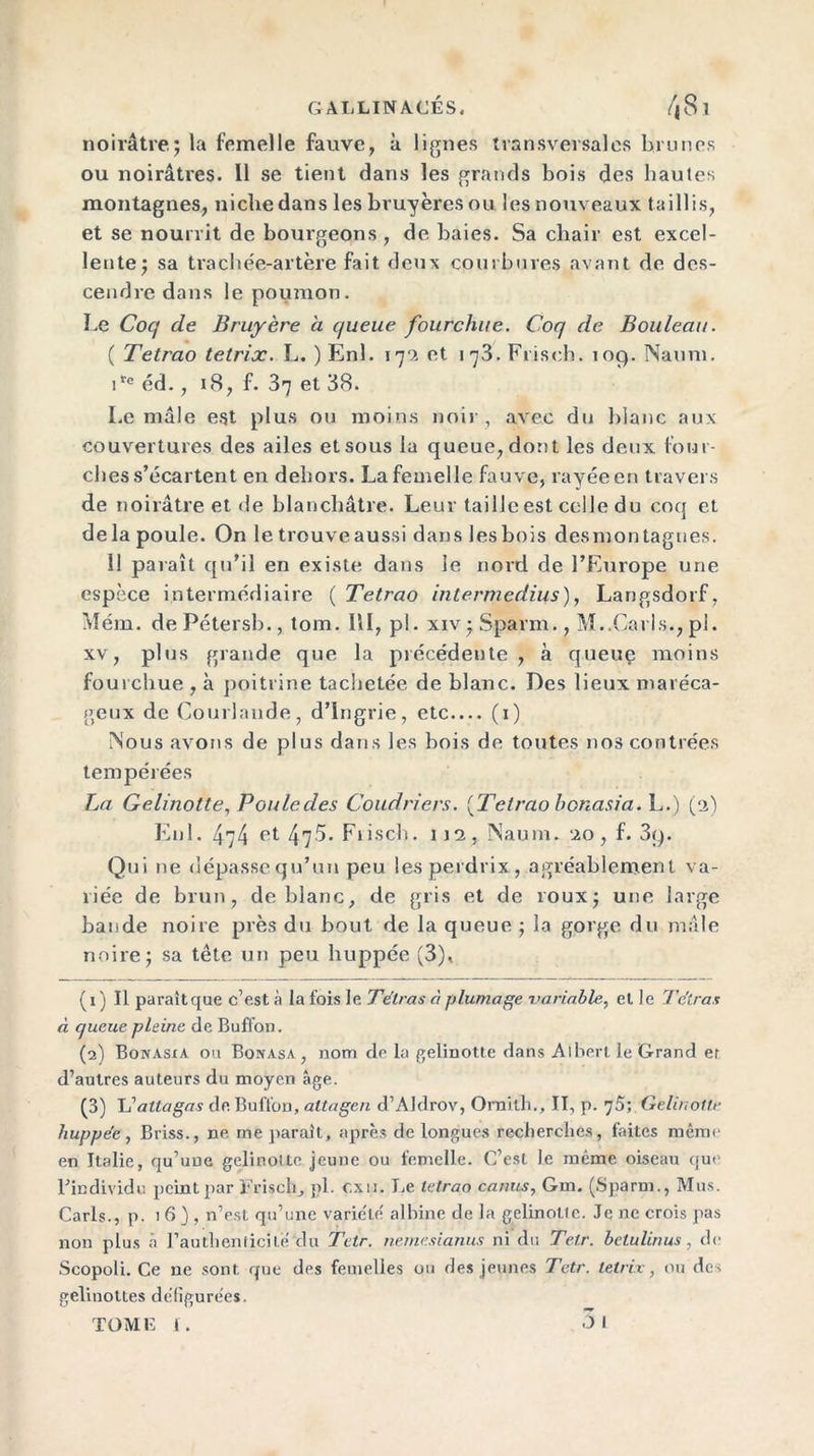 noirâtre; la femelle fauve, à lignes transversales brunes ou noirâtres. 11 se tient dans les grands bois des hautes montagnes, niche dans les bruyères ou les nouveaux taillis, et se nourrit de bourgeons , de baies. Sa chair est excel- lente; sa trachée-artère fait deux courbures avant de des- cendre dans le poumon. Le Coq de Bruyère à queue fourchue. Coq de Bouleau. ( Tetrao tetrix. L. )Enl. 179 et 173. Frisch. 109. Naum. irc éd., 18, f. 37 et 38. Le mâle est plus ou moins noir , avec du blanc aux couvertures des ailes et sous la queue, dont les deux four- ches s’écartent en dehors. La femelle fauve, rayée en travers de noirâtre et de blanchâtre. Leur taille est celle du coq et delà poule. On le trouveaussi dans les bois desmontagues. 11 paraît qu’il en existe dans le nord de l’Europe une espèce intermédiaire ( Tetrao intermçdius), Langsdorf, Mém. dePétersb., tom. 111, pl. xiv;Sparm., M..Caris., pi. xv, plus grande que la précédente , à queue moins fourchue , à poitrine tachetée de blanc. Des lieux maréca- geux de Courlande, d’ingrie, etc— (1) Mous avons de plus dans les bois de toutes nos contrées tempérées La Gelinotte, Pouledes Coudriers. {Tetrao honasia. L.) (9) Enl. 4.74 et 47^. Fiisch. 119, Naum. 90, f. 3y. Qui ne dépasse qu’un peu les perdrix, agréablement va- riée de brun, de blanc, de gris et de roux; une large bande noire près du bout de la queue ; la gorge du mâle noire; sa tête un peu huppée (3), ( 1 ) Il paraît que c’est à la fois le Tétras à plumage -variable, et le Tétras à queue pleine de Buffon. (2) Bonasxa ou Bonasa , nom de la gelinotte dans Albert le Grand er d’autres auteurs du moyen âge. (3) Cattagas de. Buffon, altagen d’AJdrov, Ornilh., II, p. ’jS; Gelinotte huppée, Briss., ne me parait, après de longues recherches, faites même en Italie, qu’une gelinotte jeune ou femelle. C’est le même oiseau qui' l’individu peint par Frisch, pl. cxn. Le tetrao canus, Gm. (Sparm., Mus. Caris., p. 16), n’est qu’une variété albine de la gelinotte. Je ne crois pas non plus à l’authenticité du Tctr. neinesianus ni du Tetr. belulinus, de Scopoli. Ce ne sont, que des femelles ou des jeunes Tetr. tetrix, ou des gelinottes défigurées. TOME I. 3l