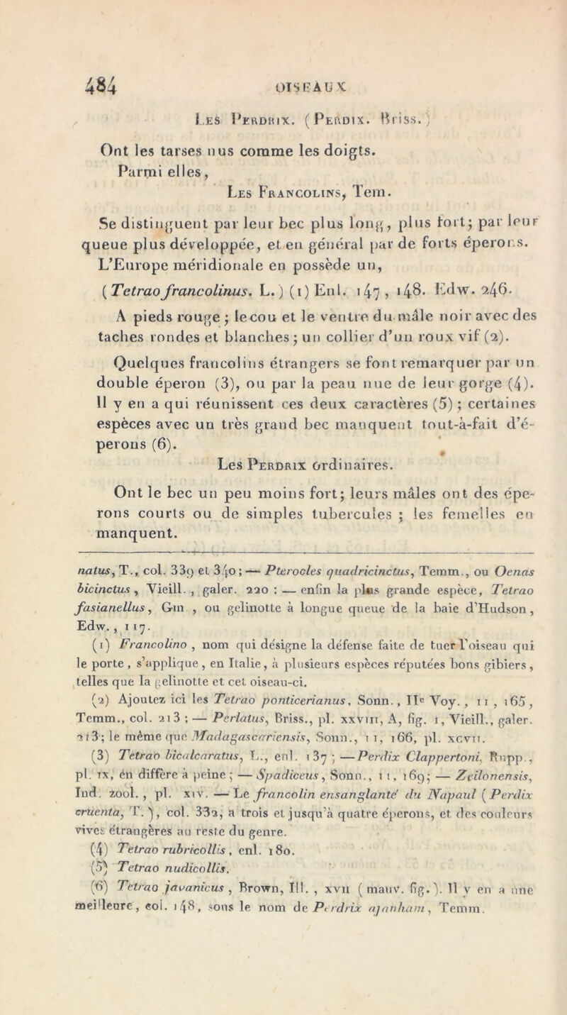 4*4 OTSf: AD K Les Perdrix. (Perdix. Briss.) Ont les tarses nus comme les doigts. Parmi elles, Les Francolins, Tem. Se distinguent par leur bec plus long, plus fort; par leur queue plus développée, et en général pur de forts éperons. L’Europe méridionale en possède un, ( TetraoJrancolinus. L. ) (i) Enl. 147 > *48- Edw. 2^6. A pieds rouge ; lecou et le ventre du mâle noir avec des taches rondes et blanches ; un collier d’un roux vif (2). Quelques francolins étrangers se font remarquer par un double éperon (3), ou par la peau nue de leur gorge (4). 11 y en a qui réunissent ces deux caractères (5); certaines espèces avec un très grand bec manquent tout-à-fait d’é- perons (6). Les Perdrix ordinaires. Ont le bec un peu moins fort; leurs mâles ont des épe- rons courts ou de simples tubercules ; les femelles en manquent. nains, T., col. 33<) el 3 jo ; — Pterocles quadricinctus, Temm., ou Oenas bicinclus , Vieill. , galer. aao : — enfin la pkis grande espèce, Tetrao fasianellus, Gin , ou gelinotte à longue queue de ia baie d’Hudson, Edw. , 1 17. (1) Francolino , nom qui désigne la défense faite de tuer l’oiseau qui le porte , s’applique, en Italie, à plusieurs espèces réputées bons gibiers, telles que la gelinotte et cet oiseau-ci. (a) Ajoutez ici les Tetrao ponticerianus. Sonn. , IIe Voy. , 11 , i65, Temm., col. ai 3 ; — Per laïus, Briss., pl. xxvm, A, fig. 1, Vieill., galer. •x 13 ; le même que. .WadagascirHensis, Sonn., 1 1, 166, pl. xcvn. (3) Tetrao bitalcaratus, T.., enl. 137 ; —Perdix Clappertoni, finpp., pl. tx, én diffère à peine ; —Spadieeus, Sonn., 1 1, 169; — Zeilonensis, Ind. zool. , pl. xiv. —Ec francolin ensanglante' du lYapaul ( Perdix crucnta, T. ), col. 33a, a trois et jusqu’à quatre éperons, et des couleurs vives étrangères au reste du genre. (4) Tetrao rubricollis , enl. 180. (5) Tetrao nudicollcs. meilleure, eoi. 1.48, sons le nom de Perdrix ajanham, Temm.