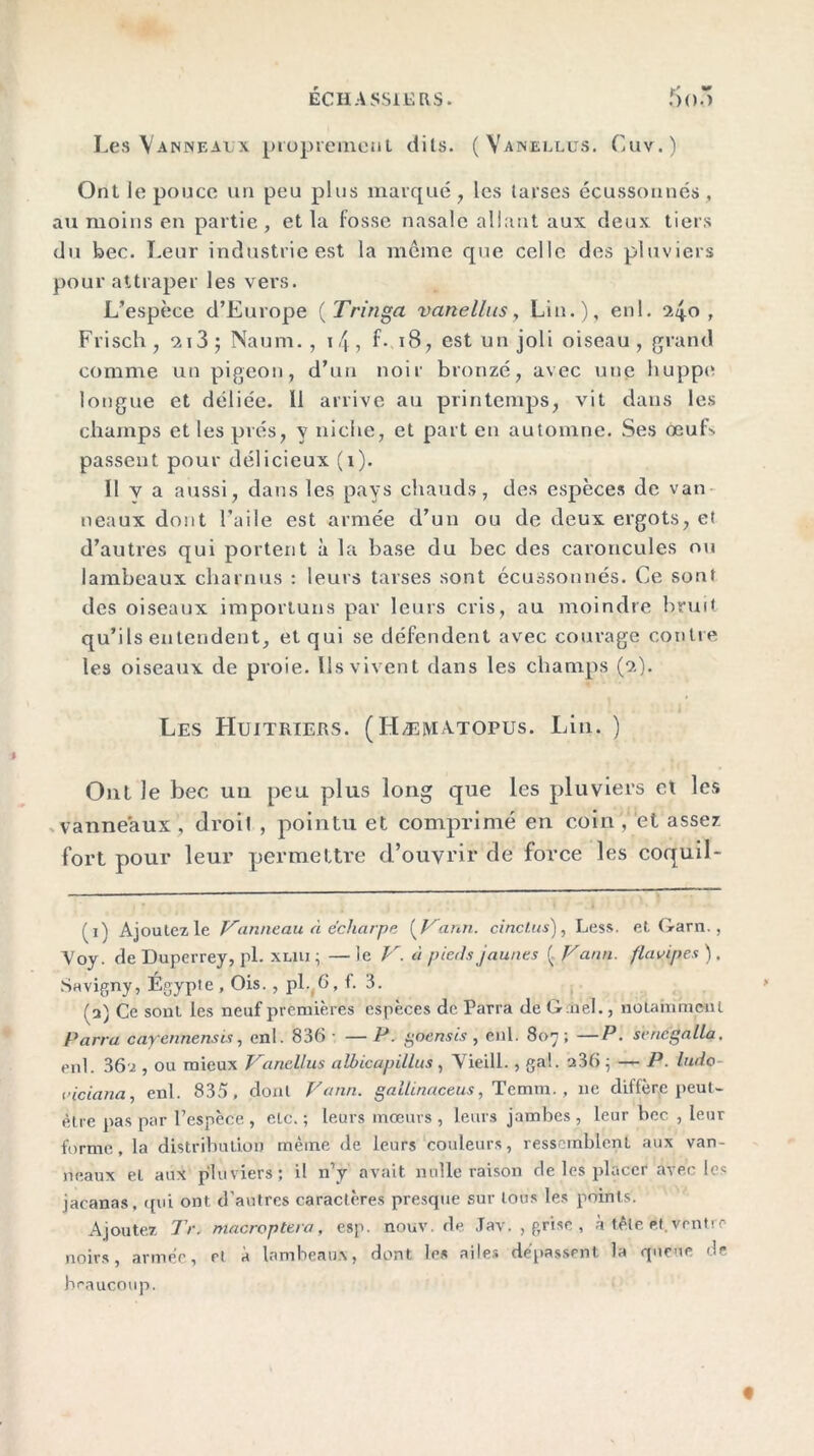 Les Vanneaux proprement dits. (Vanellus. Cuv.) Ont le pouce un peu plus marqué , les tarses écussonnés, au moins en partie, et la fosse nasale allant aux deux tiers du bec. Leur industrie est la meme que celle des pluviers pour attraper les vers. L’espèce d’Europe ( Tringa vanellus, Lin.), enl. igo , Frisch, 9,i3; Naum. , 14 ? f- 18, est un joli oiseau, grand comme un pigeon, d’un noir bronzé, avec une huppe longue et déliée. Il arrive au printemps, vit dans les champs et les prés, y niche, et part en automne. Ses œuf' passent pour délicieux (i). 11 v a aussi, dans les pays chauds, des espèces de van neaux dont l’aile est armée d’un ou de deux ergots, et d’autres qui portent à la base du bec des caroncules ou lambeaux charnus : leurs tarses sont écussonnés. Ce sont des oiseaux importuns par leurs cris, au moindre bruit qu’ils entendent, et qui se défendent avec courage contre les oiseaux de proie. Ils vivent dans les champs (“?.). Les Huitriers. (Hæhviatopus. Lin. ) Ont le bec un peu plus long que les pluviers et les vanneaux , droit , pointu et comprimé en coin , et assez fort pour leur permettre d’ouvrir de force les coquil- (i) Ajoutez le Vanneau à écharpe ( Vann. cinclus), Less. et Garn., Voy. de Duperrey, pl. xliu ; — le V. à pieds jaunes ( Vann. flavipes ). Savigny, Égypte, Ois. , pl.G, t. 3. (a) Ce sont les neuf premières espèces de Parra de G.nel., notamment Pana car en tiens is, enl. 836- —P. goensis , enl. 807; —P. sencgalla. enl. 36-2 , ou mieux Vanellus albicapillus, Yieill. , gai. a36 ; — P. ludo t'iciana, enl. 835, dont Vann. gallinaceus, Tcmm. , 11e diffère peut- être pas par l’espèce, etc.; leurs mœurs, leurs jambes, leur bec , leur forme, la distribution même de leurs couleurs, ressemblent aux van- neaux et aux pluviers; il n’y avait nulle raison de les placer avec ie« jacanas, qui ont d’autres caractères presque sur tous les points. Ajoutez Tr. ntacroptera, esp. nouv. de Jav. , grise, à tête %t. ventre noirs, armée, et à lambeaux, dont les ailes dépassent, la queue de beaucoup.