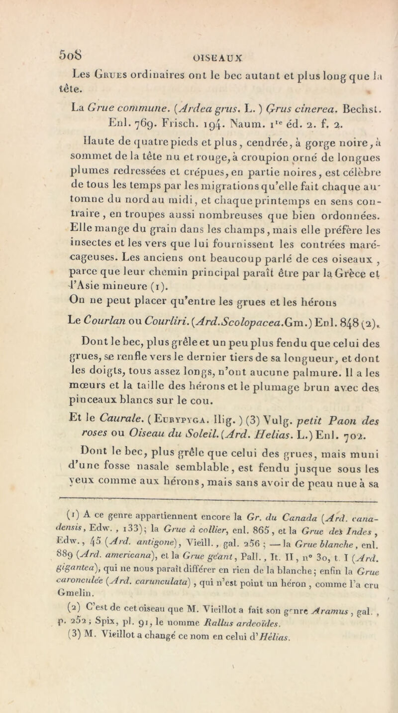 5ob Les Giiues ordinaires ont le bec autant et plus long que la tète. La Grue commune. (Ardea grus. L. ) Ç-rus cinerea. Bechst. Enl. 769. Frisch. 194. Naura. i,e éd. 2. f. 2. Haute de quatre pieds et plus, cendrée, à gorge noire, à sommet de la tête nu et rouge,à croupion orne de longues plumes redressées et crépues, en partie noires, est célèbre de tous les temps par les migrations qu’elle fait chaque air tomne du nord au midi, et chaque printemps en sens con- traire , en troupes aussi nombreuses que bien ordonnées. Elle mange du grain dans les champs, mais elle préfère les insectes et les vers que lui fournissent les contrées maré- cageuses. Les anciens ont beaucoup parlé de ces oiseaux , parce que leur chemin principal paraît être par la Grèce et l’Asie mineure (1). On ne peut placer qu’entre les grues et les hérons Le Courlan ou Courliri. {Ard.Scolopacea.Gm.) Enl. 848 (2), Dont le bec, plus grêle et un peu plus fendu que cel ui des grues, se renfle vers le dernier tiers de sa longueur, et dont les doigts, tous assez longs, n’ont aucune palmure. 11 a les mœurs et la taille des hérons et le plumage brun avec des pinceaux blancs sur le cou. Et le Caurale. ( Eubypyga. Ilig. ) (3) Yulg. petit Paon des roses ou Oiseau du Soleil. {Ard. Relias. L.)Enl. 702. Dont le bec, plus grêle que celui des grues, mais muni d une fosse nasale semblable, est fendu jusque sous les yeux comme aux hérons, mais sans avoir de peau nue à sa (1) A ce genre appartiennent encore la Gr. du Canada {.Ard. eana- densis, Edw. , i33); la Grue à collier, enl. 865, et la Grue dei Indes , Edw., 45 {Ard. antigone), Yieill., gai. 256; — la Grue blanche, enl. 889 {Ard. americana), et la Grue géant, Pall. , Tt. II, n° 3o, t I {Ard. gigantea), qui ne nous paraît différer en rien de la blanche; enfin la Grue caroncule'e {Ard. carunculata) , qui n’est point un héron , comme l’a cru Gmelin. (2) C est de cet oiseau que M. Vieillot a fait son grnre Aramus , gai. , p. 202 ; Spix, pl. 91, le nomme Rallus ardeoïdes. (3) M. Vieillot a changé ce nom en celui d'Hé lias.