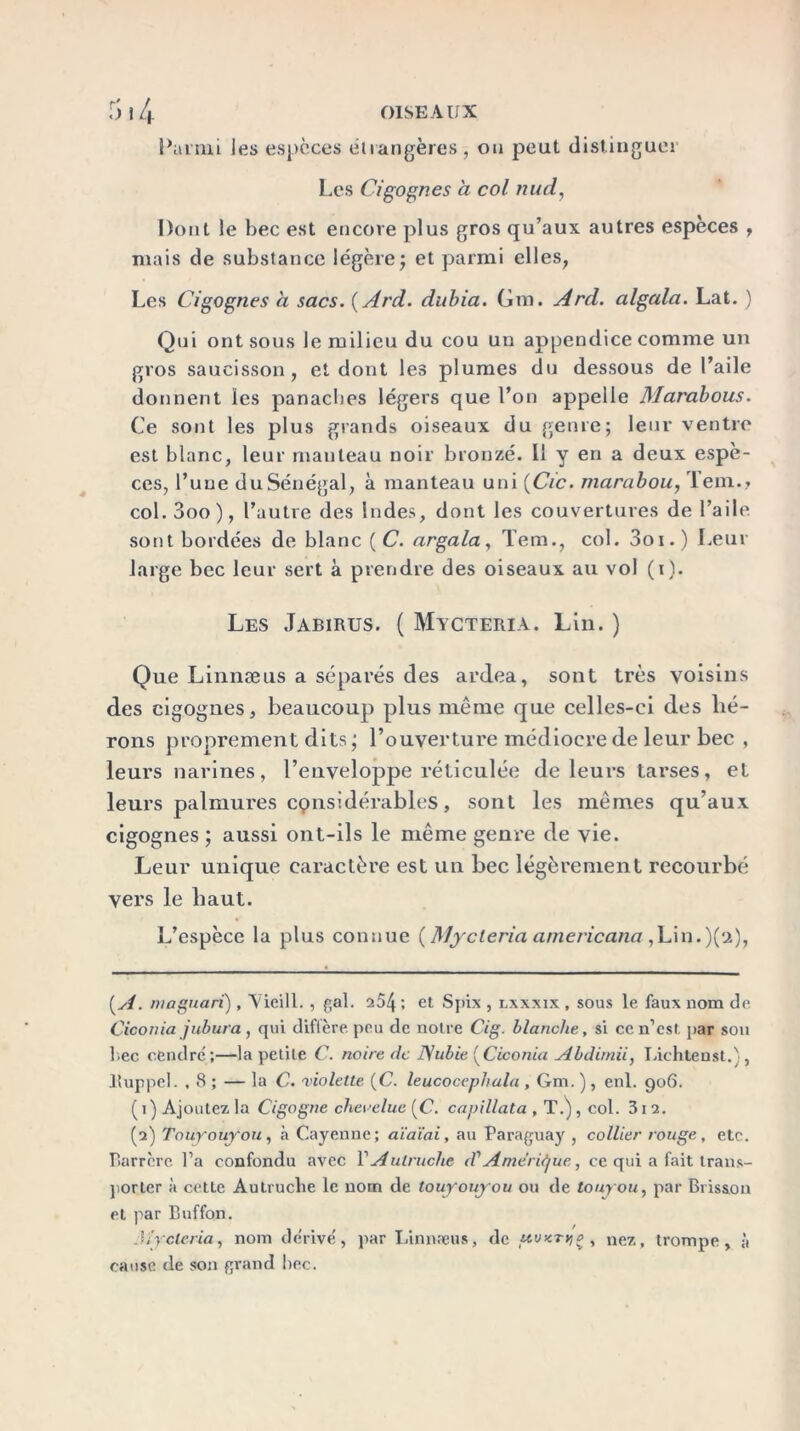 Parmi les espèces étrangères , ou peut distinguer Les Cigognes à col nud, Dont le bec est encore plus gros qu’aux autres espèces , mais de substance légère; et parmi elles, Les Cigognes à sacs. ( Ard. dubia. Gm. Ard. algala. Lat. ) Qui ont sous le milieu du cou un appendice comme un gros saucisson, et dont les plumes du dessous de l’aile donnent les panaches légers que l’on appelle Marabous. Ce sont les plus grands oiseaux du genre; leur ventre est blanc, leur manteau noir bronzé. Il y en a deux espè- ces, l’une du Sénégal, à manteau uni (Cic. marabou, leni.» col. 3oo), l’autre des Indes, dont les couvertures de l’aile sont bordées de blanc (C. argala, Tem., col. 3oi.) Leur large bec leur sert à prendre des oiseaux au vol (i). Les Jabirus. ( Mycteria. Lin. ) Que Linnæus a séparés des ardea, sont très voisins des cigognes, beaucoup plus même que celles-ci des hé- rons proprement dits; l’ouverture médiocre de leur bec , leurs narines, l’enveloppe réticulée de leurs tarses, et leurs palmures cpnsidérables , sont les mêmes qu’aux cigognes; aussi ont-ils le même genre de vie. Leur unique caractère est un bec légèrement recourbé vers le haut. L’espèce la plus connue (Mycteria americana,Lin.)(2), (.A. maguari) , Vieill. , gai. 254 : et Spix , lxxxix , sous le faux nom de Ciconia jubura, qui diflère peu de notre Cig. blanche, si ce n’est par son liée cendré;—la petite C. noire de JSubie (Ciconia Abdi/nii, Lichtenst.), Ituppel. , 8 ; — la C. violette (C. leucocephala , Gm. ) , enl. 906. ( 1 ) Ajoutez la Cigogne chevelue (C. capillata , T.) , col. 31 2. (2) Touyouyou, à Cayenne; aïaïai, au Paraguay , collier rouge, etc. Barrcre l’a confondu avec Y Autruche d'Amérique, ce qui a fait trans- porter à cette Autruche le nom de touyouyou ou de touyou, par Brisson et par Buffon. Mycteria, nom dérivé, par Linnæus, de uv<ry,o , nez, trompe, à cause de son grand liée.