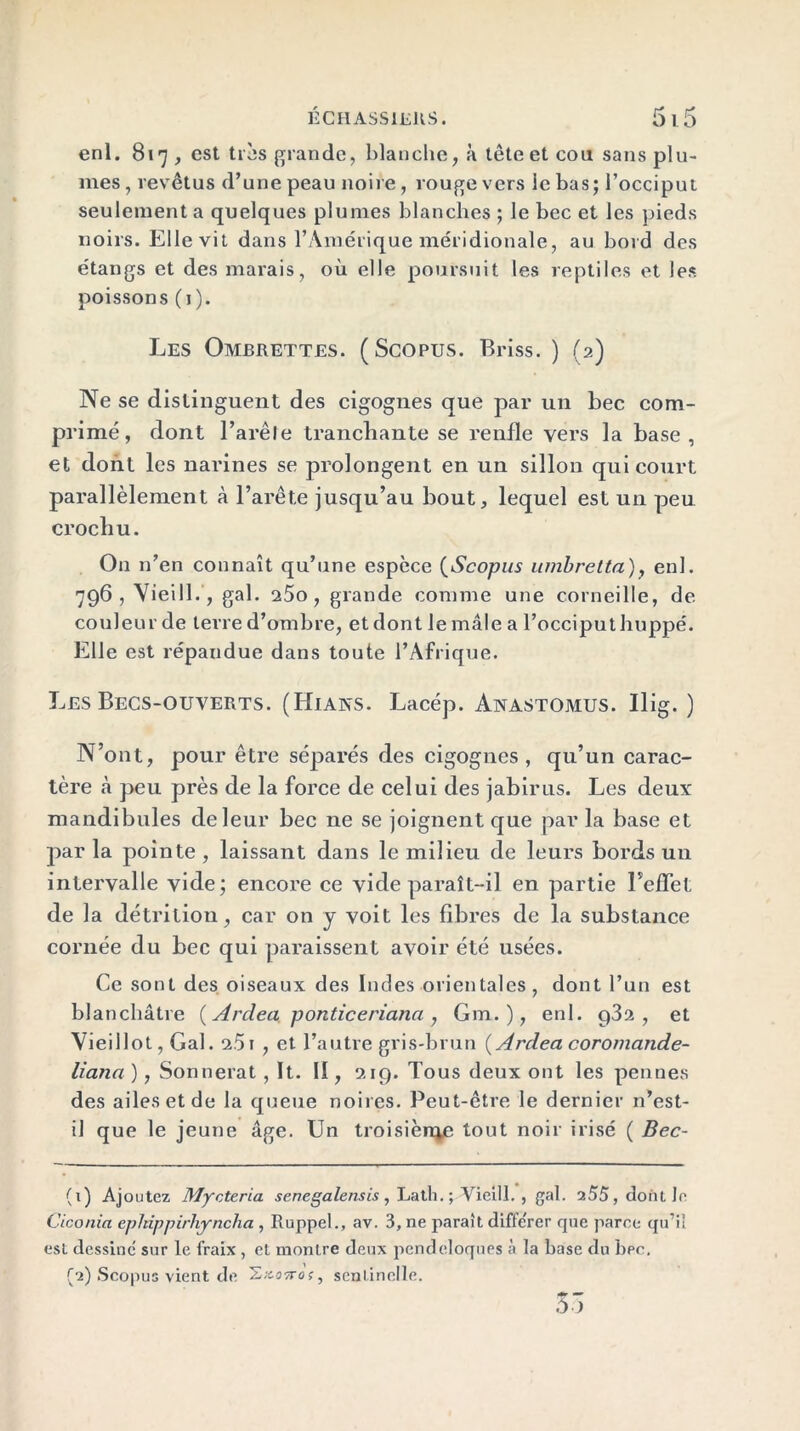 enl. 817, est tris grande, blanche, à tête et cou sans plu- mes , revêtus d’une peau noire, rouge vers le bas; l’occiput seulement a quelques plumes blanches ; le bec et les pieds noirs. Elle vit dans l’Amérique méridionale, au bord des étangs et des marais, où elle poursuit les reptiles et les poissons (1). Les Ombrettes. (Scopus. Briss. ) (2) Ne se distinguent des cigognes que par un bec com- primé, dont l’are le tranchante se renfle vers la base, et dont les narines se prolongent en un sillon qui court parallèlement à l’arête jusqu’au bout, lequel est un peu crochu. O11 n’en connaît qu’une espece (Scopus umbretta), enl. 796, Vieill., gai. 25o , grande comme une corneille, de couleur de terre d’ombre, et dont le mâle a l’occiput huppé. Elle est répandue dans toute l’Afrique. Les Becs-ouverts. (Hians. Lacép. Anastomus. Ilig. ) N’ont, pour être séparés des cigognes , qu’un carac- tère à peu près de la force de celui des jabirus. Les deux: mandibules de leur bec ne se joignent que par la base et par la pointe , laissant dans le milieu de leurs bords un intervalle vide; encore ce vide paraît-il en partie l'cfTet de la détrition, car on y voit les fibres de la substance cornée du bec qui paraissent avoir été usées. Ce sont des oiseaux des Indes orientales , dont l’un est blanchâtre ( Ardea ponticeriana , Gm. ) , enl. g32 , et Vieillot, Gai. 2.51 , et l’autre gris-brun {Ardea coromande- liana ), Sonnerat , It. II, 219. Tous deux ont les pennes des ailes et de la queue noires. Peut-être le dernier n’est- il que le jeune âge. Un troisien^e tout noir irisé ( Bec- (x) Ajoutez Mycteria senegalensis , Lath. ; Vieill. , gai. 255, dont le Ciconia cphippirhyncha , Ruppel., av. 3, ne paraît difïc'rer que parce qu’il est dessine sur le fraix , et montre deux pendeloques à la base du bpc, (2) Scopus vient de ’Z^ottos, sentinelle. 35