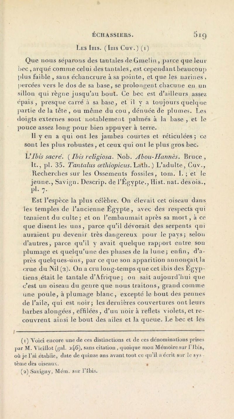 Les Ibis. (Ibis Cuv.) (i) Que nous séparons des tantales deGmelin , parce que leur i>ec , arqué comme celui des tantales, est cependantbeaucouo plus faible , sans échancrure à sa pointe, et que les narines , percées vers le dos de sa base, se prolongent chacune en un sillon qui règne jusqu’au bout. Ce bec est d’ailleurs assez épais, presque carré à sa base, et il y a toujours quelque partie de la tête , ou même du cou, dénuée de plumes. Les doigts externes sont notablement palmés à la base , et le pouce assez long pour bien appuyer à terre. Il yen a qui ont les jambes courtes et réticulées ; ce sont les plus robustes, et ceux qui ont le plus gi’os bec. U Ibis sacré. ( Ibis religiosa. Nob. Abou-Hannès. Bruce, lt., pl. 35. Tantalus œtliiopicus. Lath. ) L’adulte, Cuv., Recherches sur les Ossements fossiles, tom. I. ; et le jeune., Savign. Descrip. de l’Egypte., Hist. nat. des ois., pl. 7. Est l’espèce la plus célèbre. On élevait cet oiseau dans les temples de l’ancienne Egypte, avec des respects qui tenaient du culte; et on l’embaumait après sa mort, à ce que disent les uns, parce qu’il dévorait des serpents qui auraient pu devenir très dangereux pour le pays; selon d’autres, parce qu’il y avait quelque rapport entre sou plumage eL quelqu’une des phases de la lune; enfin, d’a- près quelques-uns, par ce que son apparition annonçait la crue du Nil (2). On a cru long-temps que cet ibis des Egyp- tiens était le tantale d’Afrique; on sait aujourd’hui que c’est un oiseau du genre que nous traitons, grand comme une poule, à plumage blanc, excepté le bout des pennes de l’aile, qui est noir; les dernières couvertures ont leurs barbes alongées , effilées, d’un noir à reflets violets, et re- couvrent ainsi le bout des ailes et la queue. Le bec et les /—— — (1) Voici encore une de ces distinctions et de ces dénominations prises par M. Vieillot (gai. 246), sans citation , quoique mon Mémoire sur filés, où je l’ai établie, date de quinze ans avant tout, ce qu’il a écrit sur le sys lème des oiseaux. «