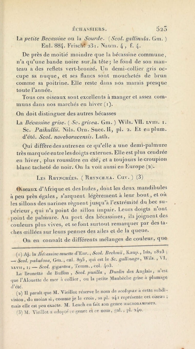 La petite Bécassine ou la Sourde. (Scol. gaüinula. Gm. ) Enl. 884. Frischî 23 1. Naum. 4 > f. 4* De près de moitié moindre que la bécassine commune, n’a qu’une bande noire surJ.a tête; le fond de son man- teau a des reflets vert-bronzé. Un demi-collier gris oc- cupe sa nuque, et ses flancs sont mouchetés de brun comme sa poitrine. Elle reste dans nos marais presque toute l’année. Tous ces oiseaux sont excellents à manger et assez com- muns dans nos marchés en hiver (1). On doit distinguer des autres bécasses La Bécassine grise. ( 6c. grisea. Gm. ) Wils. VIL lviii. i. Sc. Paikullii. Nils. Orn.Suec. II, pi. 2. Et euplum. d’été. Scol. noveboracensis. Lath. Qui diffère des autres en ce qu’elle a une demi-palmure très marquée entre les doigts externes. Elle est plus cendrée en hiver, plus roussàtre en été, et a toujours le croupion blanc tacheté de noir. On la voit aussi en Europe (2). Les Rhynchées. ( Rhynchæa. Cuv. ) (3) Oiseaux d’Afrique et des Indes, dont les deux mandibules à peu près égales, s’arquent légèrement a leur bout, et ou les sillons des narines régnent jusqu’à l’extrémité du bec su- périeur , qui n’a point de sillon impair. Leurs doigts n ont point de palmure. Au port des bécassines, ils joignent des couleurs plus vives, et se font surtout remarquer par des ta- ches œillées sur leurs pennes des ailes et de la queue. On en connaît de différents mélanges de couleur, que (!) Aj. la Bécassine muette d’Eur., Scol. Brehmii, Kaup., Isis, 1823 ; — Scol. paludosa, Gm., enl. 895 , qui est le Sc. gallinago, Wils. , A I. xlvh ,1; — Scol. gigantea, Teram., col. 4°3- La Brunetle de Buffon , Scol. pus ilia , Dunltn des Anglais , n est que l’Alouette de mer à collier, ou la petite Maubècîie grise à plumage d’été. , .. (2) Il paraît que M. Vieillot réserve le nom de scolopax a cette subi 1 - vision, du moins si, comme je le crois , sa pl. M 1 représente cet oiseau ; mais elle est peu exacte. M. Leach en fait son genre macroramphus.