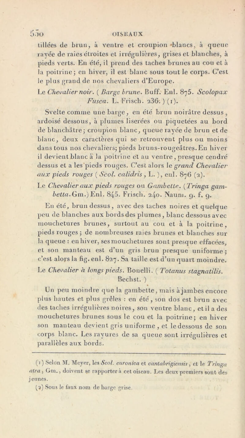 G tiliées de brun, à ventre et croupion -blancs, à queue rayée de raies étroites et irrégulières, grises et blanches, à pieds verts. En été, il prend des taches brunes au cou et à la poitrine; en hiver, il est blanc sous tout le corps. C’est le plus grand de nos chevaliers d’Europe. Le Chevalier noir. ( Barge brune. Buff. Enl. 875. Scolopax Fusca. L. Frisch. 236; ) (1). Svelte comme une barge, en été brun noirâtre dessus , ardoisé dessous, à plumes liserées ou piquetées au bord de blanchâtre; croupion blanc, queue rayée de brun et de blanc, deux caractères qui se retrouvent plus ou moins dans tous nos chevaliers; pieds bruns-rougeâtres.En hiver il devient blanc à la poitrine et au ventre , presque cendré dessus et a les pieds rouges. C’est alors le grand Chevalier aux pieds rouges ( Scol. calidris, L. ), enl. 876 (2). Le Chevalier aux pieds rouges ou Gambette. ( Tringa gam- betta. Gm.) Enl. 845. Frisch. 240. Naum. 9. f. 9. En été, brun dessus, avec des taches noires et quelque peu de blanches aux bords des plumes , blanc dessous avec mouchetures brunes, surtout au cou et à la poitrine, pieds rouges; de nombreuses raies brunes et blanches sur la queue : en hiver, ses mouchetures sont presque effacées, et son manteau est d’un gris brun presque uniforme; c’est alors la fig. enl. 827. Sa taille est d’un quart moindre. Le Chevalier a longs pieds. Bonelli. ( Totanus stagnatilis. Bechst. ) Un peu moindre que la gambette, mais à jambes encore plus hautes et plus grêles : en été, son dos est brun avec des taches irrégulières noires, son ventre blanc, et il a des mouchetures brunes sous le cou et la poitrine; en hiver son manteau devient gris uniforme , et le dessous de son corps blanc. Les rayures de sa queue sont irrégulières et parallèles aux bords. (1) Selon M. Meyer, les Scol. curonica et canlabrigiensis , et le Tringa alra , Gm., doivent se rapporter à cet oiseau. Les deux premiers sont des jeunes. {7) Sous le faux nom de barge grise.