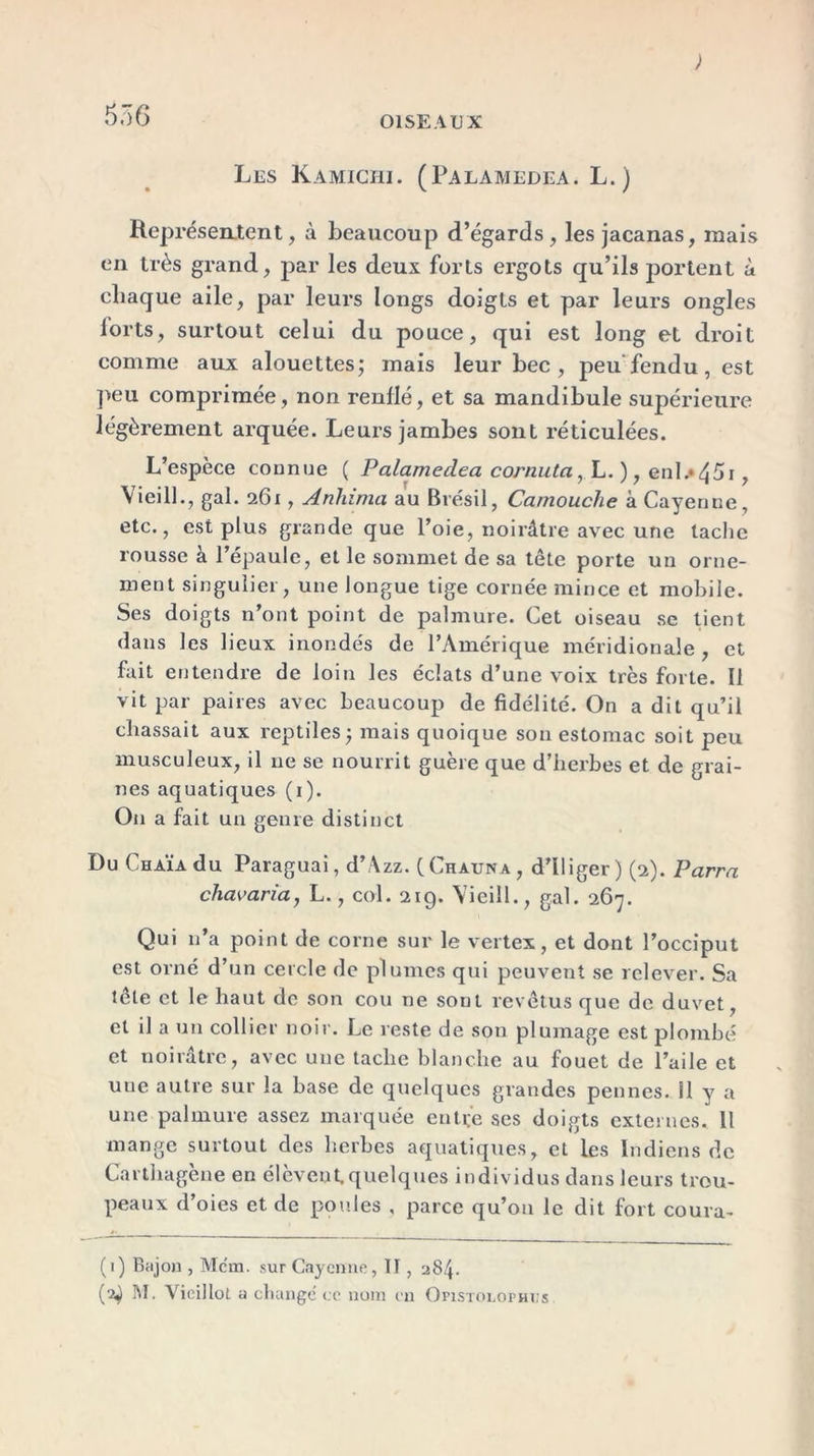 ; 556 OISEAUX Les Kamichi. (Palamedea. L.) Représentent, à beaucoup d’égards, les jacanas, mais en très grand, par les deux forts ergots qu’ils portent à chaque aile, par leurs longs doigts et par leurs ongles lorts, surtout celui du pouce, qui est long et droit comme aux alouettes; mais leur bec , peu fendu, est peu comprimée, non renflé, et sa mandibule supérieure légèrement arquée. Leurs jambes sont réticulées. L’espèce connue ( Palamedea cornuta, L. ), enl.*45i, Vieil!., gai. 261, Anhima au Brésil, Camouche à Cayenne, etc., est plus grande que l’oie, noirâtre avec une tache rousse à l’épaule, et le sommet de sa tête porte un orne- ment singulier, une longue tige cornée mince et mobile. Ses doigts n’ont point de palmure. Cet oiseau se tient dans les lieux inondés de l’Amérique méridionale, et fait entendre de loin les éclats d’une voix très forte. Il vit par paires avec beaucoup de fidélité. On a dit qu’il chassait aux reptiles; mais quoique son estomac soit peu musculeux, il 11e se nourrit guère que d’herbes et de grai- nes aquatiques (1 ). On a fait un genre distinct Du Chaïa du Paraguai, d’Azz. (Chauna , d’Uiger ) (2). Parra chavaria, L., col. 219. Vieiîl., gai. 267. Qui n’a point de corne sur le vertex, et dont l’occiput est orné d’un cercle de plumes qui peuvent se relever. Sa tête et le haut de son cou ne sont revêtus que de duvet, et il a un collier noir. Le reste de son plumage est plombé et noirâtre, avec une tache blanche au fouet de l’aile et uue autre sur la base de quelques grandes pennes, il y a une palmure assez marquée entre ses doigts externes. Il mange surtout des herbes aquatiques, et les Indiens de Carthagène en élèvent, quelques individus dans leurs trou- peaux d’oies et de poules , parce qu’on le dit fort coura- (1) Bajon , Mena, sur Cayenne, H , 284. (2^ M. Vieillot a changé ce nom en Opistolophiîs