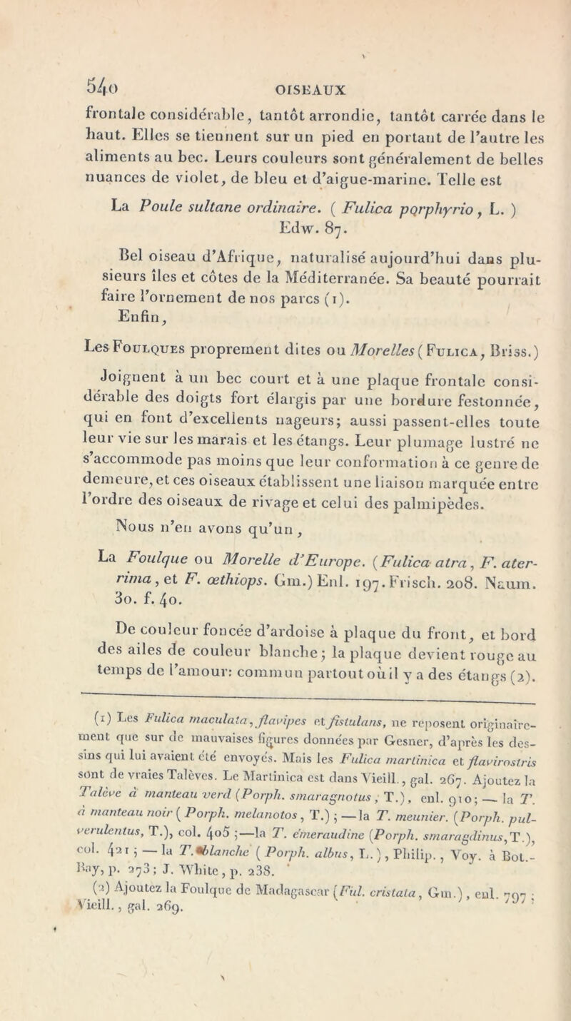 5/| 0 frontale considérable, tantôt arrondie, tantôt carrée dans le haut. Elles se tiennent sur un pied en portant de l’autre les aliments au bec. Leurs couleurs sont généralement de belles nuances de violet, de bleu et d’aigue-marine. Telle est La Poule sultane ordinaire. ( Fulica pQrphyrio, L. ) Edw. 87. Bel oiseau d’Afrique, naturalisé aujourd’hui dans plu- sieurs îles et côtes de la Méditerranée. Sa beauté pourrait faire l’ornement de nos parcs (1). Enfin, Les Foulques proprement dites ou Morelles { Fulica, Briss.) Joignent à un bec court et à une plaque frontale consi- dérable des doigts fort élargis par une bordure festonnée, qui en font d excellents nageurs; aussi passent-elles toute leur vie sur les marais et les étangs. Leur plumage lustré 11e s accommode pas moins que leur conformation à ce genre de demeure, et ces oiseaux établissent une liaison marquée entre 1 ordre des oiseaux de rivage et celui des palmipèdes. Nous n’en avons qu’un, La Foulque ou M orelle d’Europe. {Fulica a Ira , F. ater- nnia, et F. œtliiops. Gm.)Enl. i97.Frisc'n. 208. Naum. 3o. f. 40. De couleur foncée d’ardoise à plaque du front, et bord des ailes de couleur blanche; la plaque devient rouge au temps de 1 amour: commun partout où il y a des étangs (2). (1) Les Fulica rnaculata,flaidpes etjftslulans, 11e reposent originaire- ment que sur de mauvaises figures données par Gcsner, d’après les des- sins qui lui avaient été envoyés. Mais les Fulica martinica et flavirostris sont de vraies Talèves. Le Martinica est dans YieiU., gai. 267. Ajoutez la Talcve à manteau verd (Porph. smaragnotus; T.), cnl. qio; — la T. à manteau noir ( Porph. melanotos , T.) ; — la T. meunier. {Porph. pul- vérulent us, T.), col. 4°ô ;—la T. emeraudinc [Porph. smaragdinus, T.), 00I. 41 2 1 i la T.tblanche ( Porph. albus, L. ), Philip. , Voy. à Bot.- Bay, p. 273; J. Whitc, p. 238. ' (2) Ajoutez la Foulque de Madagascar [Fui. cristala, Gm.j, eul. non • \ ieill., gai. 269.